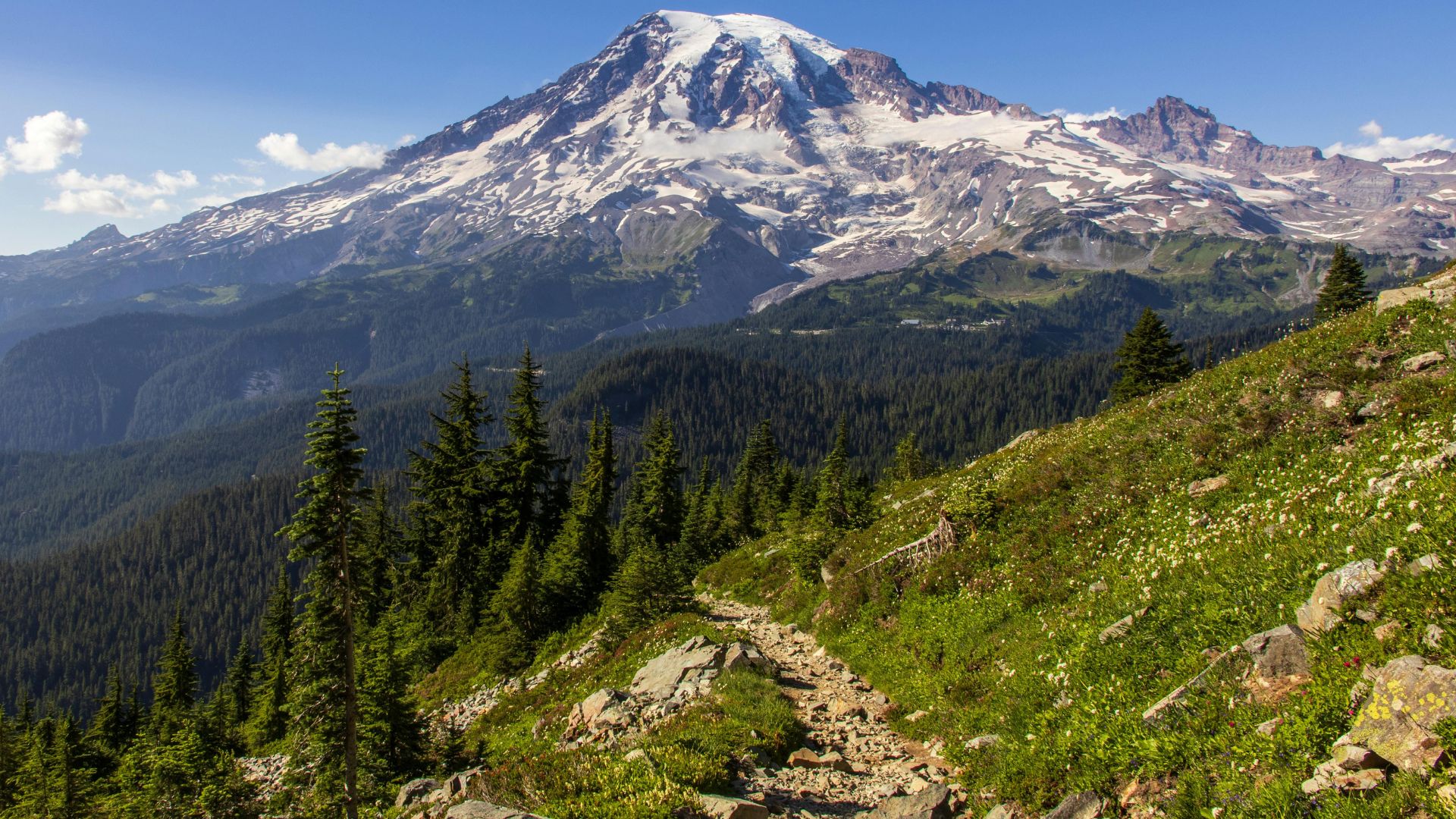 A wide, scenic view of the massive, snow-capped Mount Rainier in Washington, USA, rising above a forest of evergreen trees and a steep, rocky hiking trail in the immediate foreground under a blue, cloudy sky.