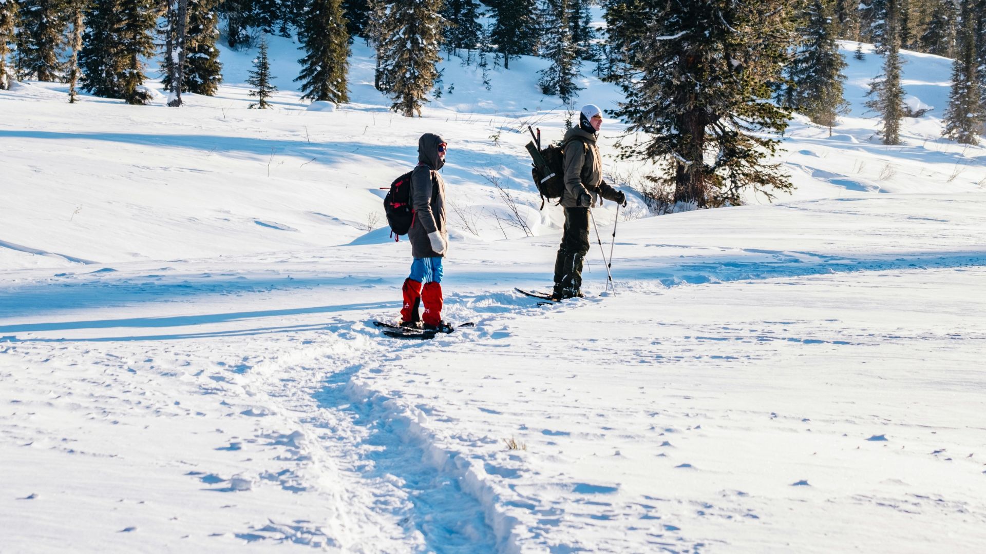Two people in winter gear stand in a sunny, snowy field with tall pine trees in the background.