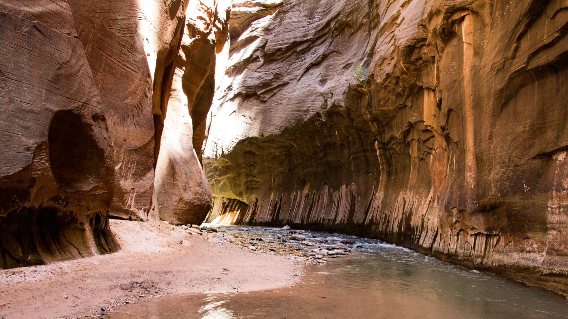 A deep and narrow slot canyon with towering, fluted sandstone walls in shades of red and orange, with a sandy bank in the foreground leading into the shallow, flowing Virgin River.
