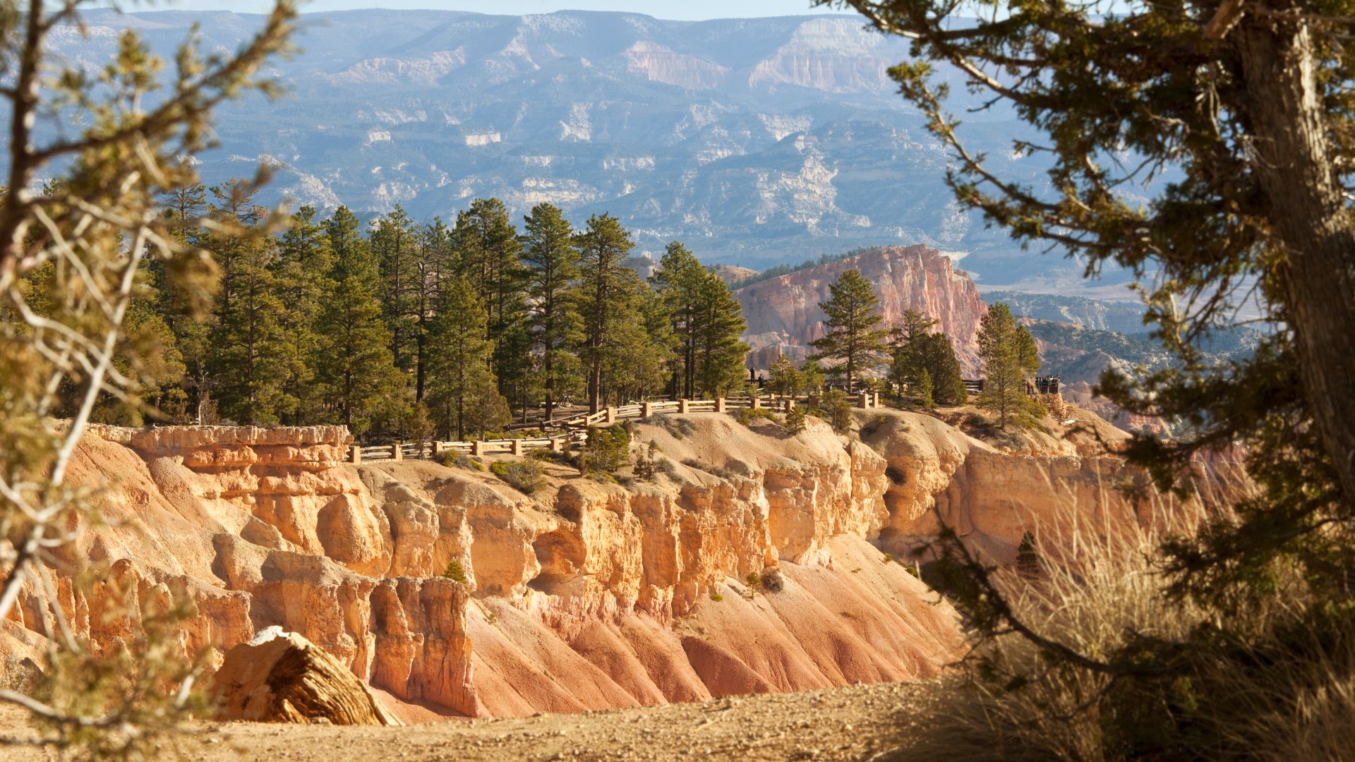 The Rim Trail in Bryce Canyon National Park, Utah