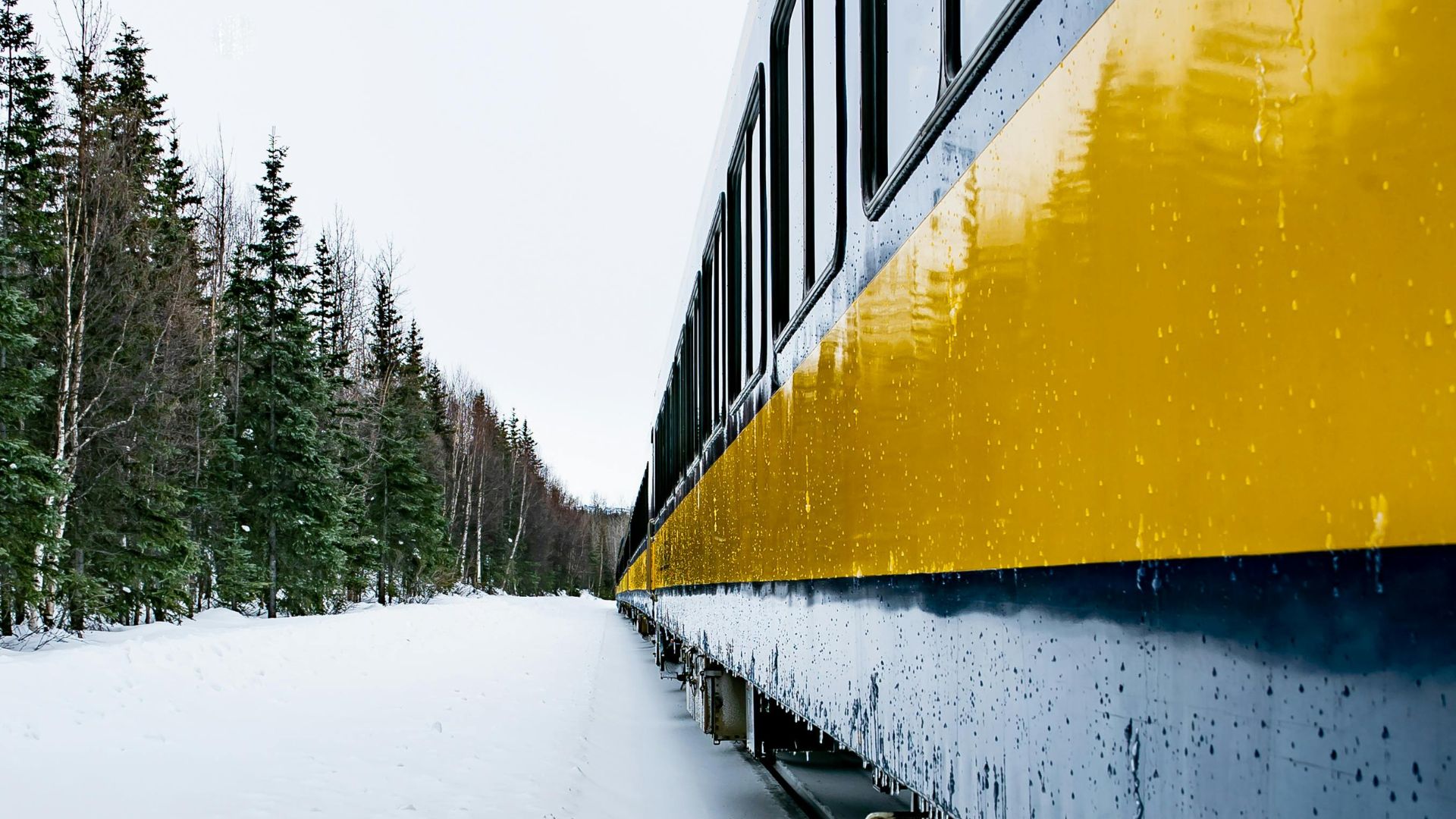 Train in snow