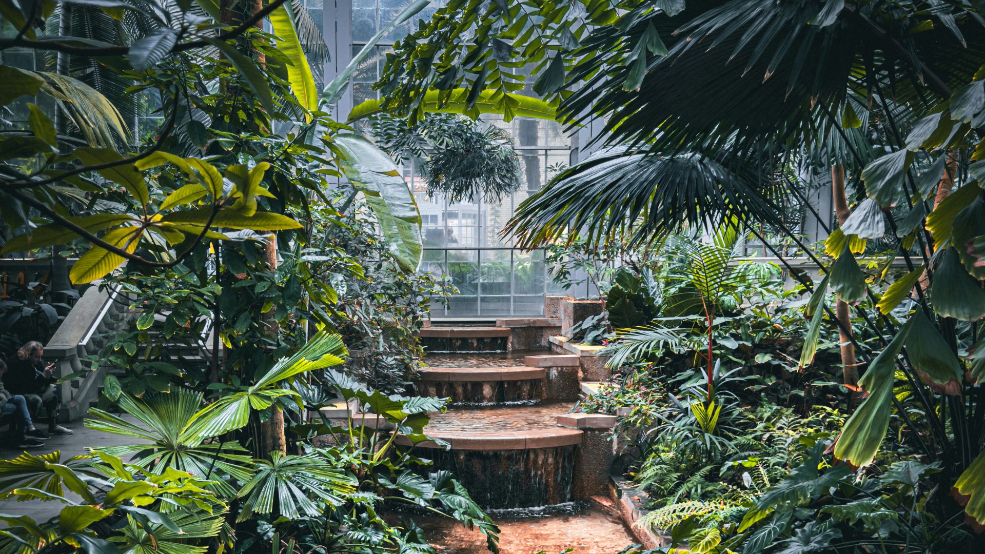The lush interior of a large, glass-ceilinged conservatory filled with dense tropical foliage and a narrow, rocky stream flowing down tiered steps in the center.