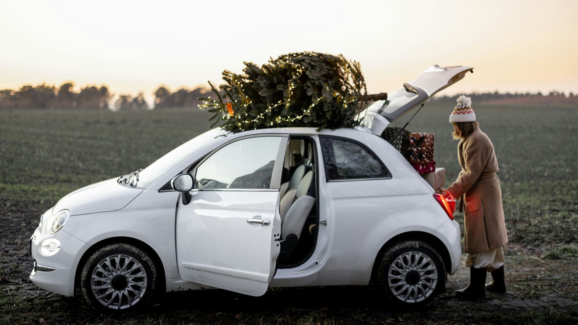 A woman putting objects at the back of the car.