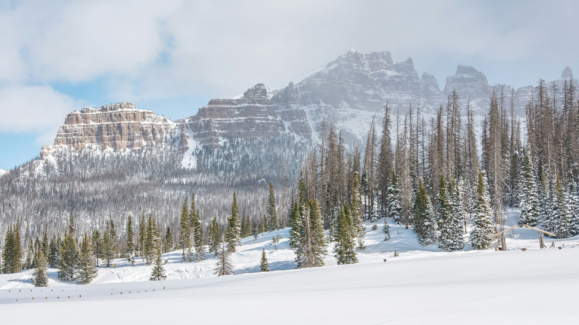 A panoramic view of a rugged, snow-covered mountain with a distinct layered rock formation in the distance, overlooking a snowy evergreen forest in Wyoming.