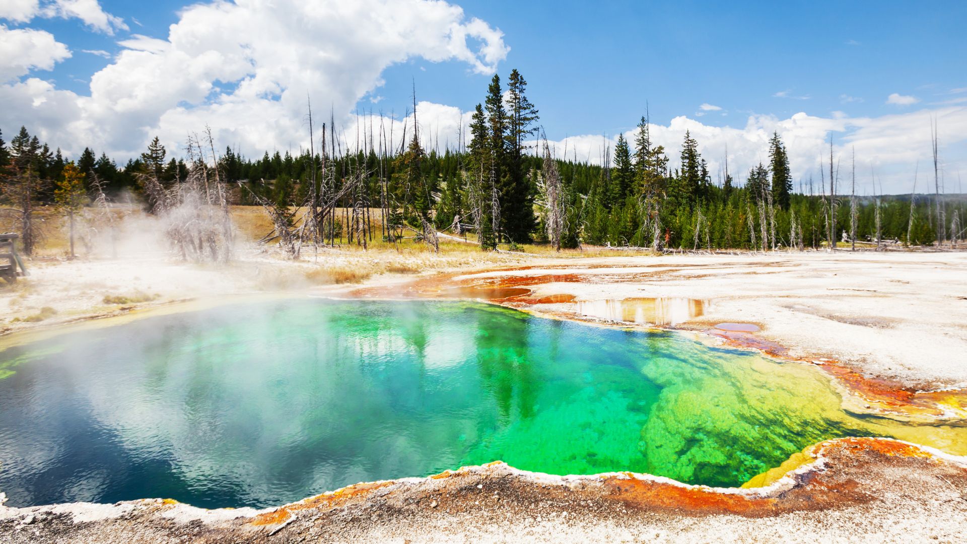 Yellowstone National Park in Wyoming, USA