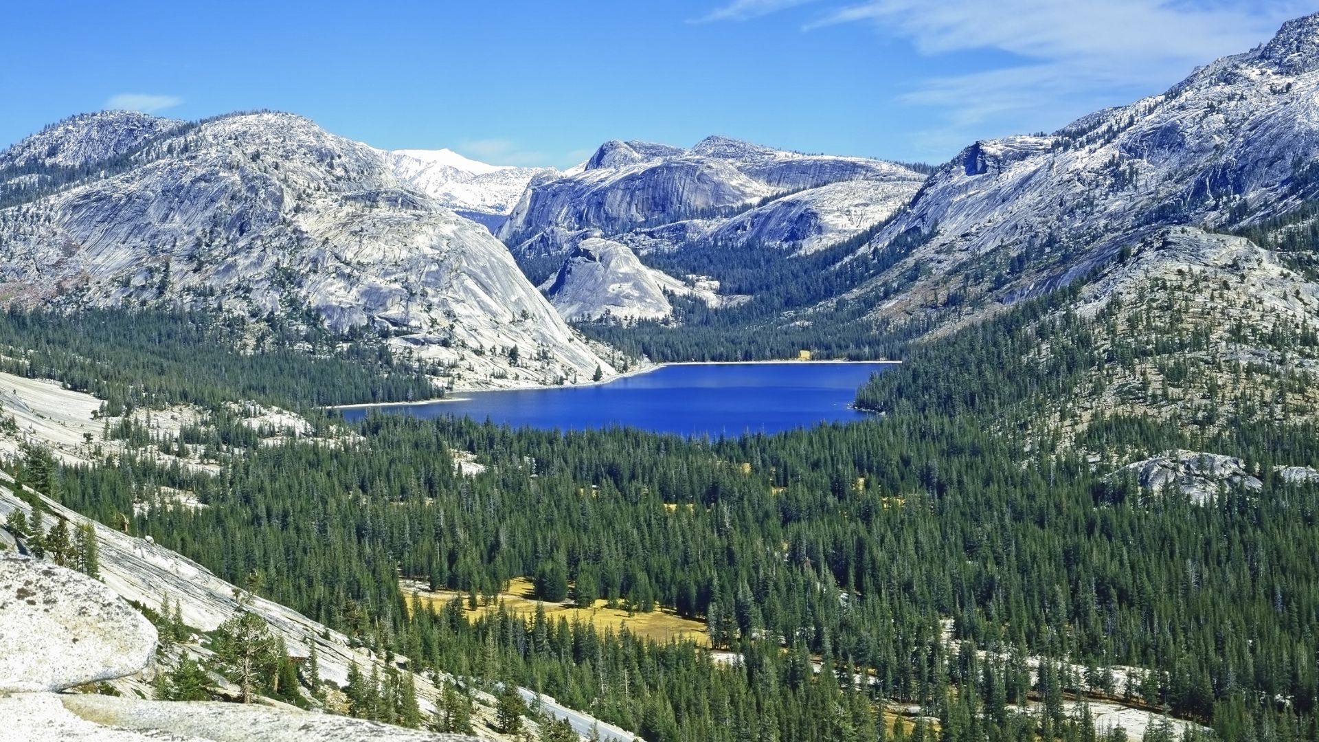 A view across the deep blue waters of Tenaya Lake, surrounded by a forest of pine trees and immense granite domes and mountains in the high country of Yosemite National Park, California.
