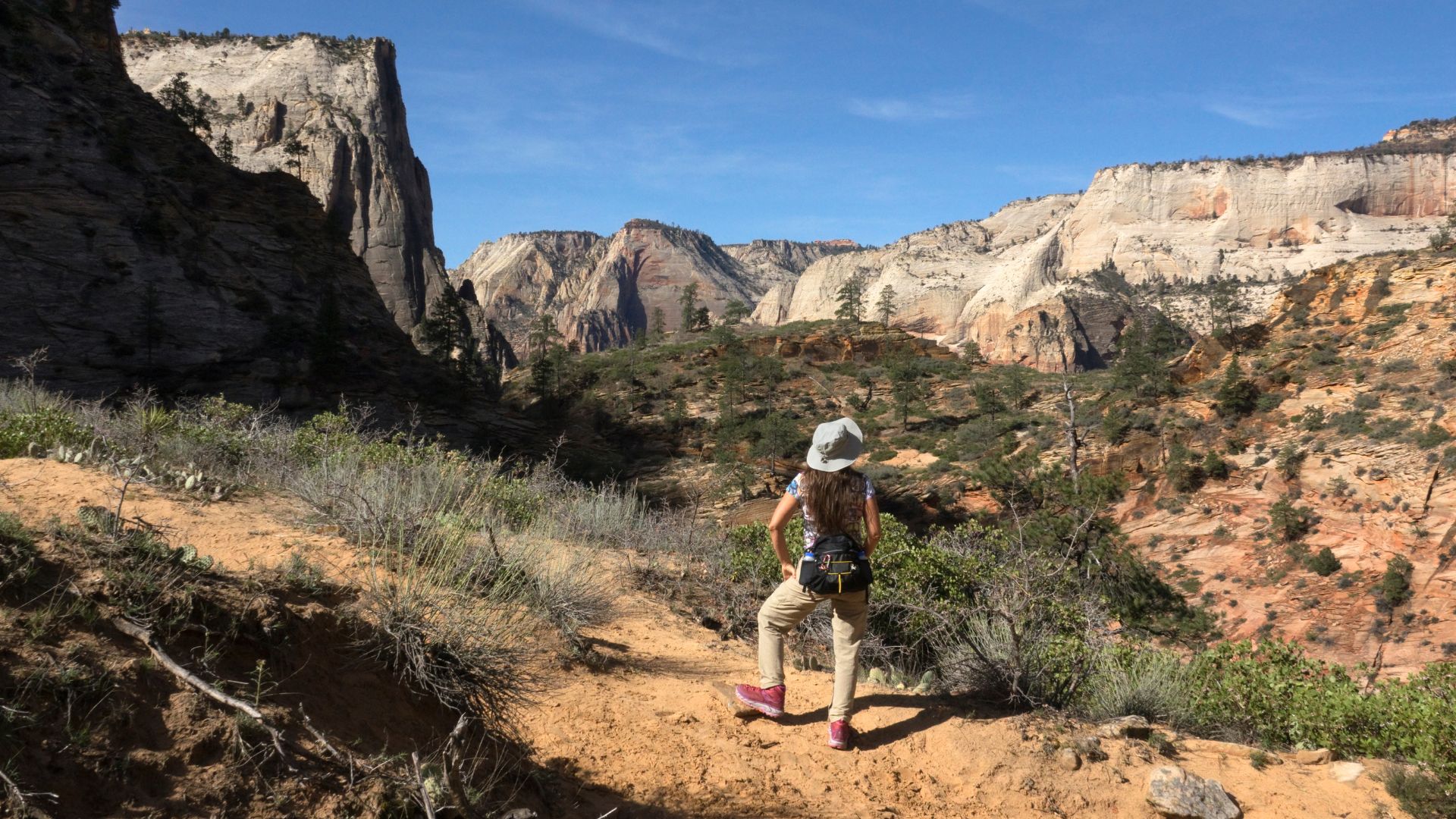 Zion National Park in Utah, USA
