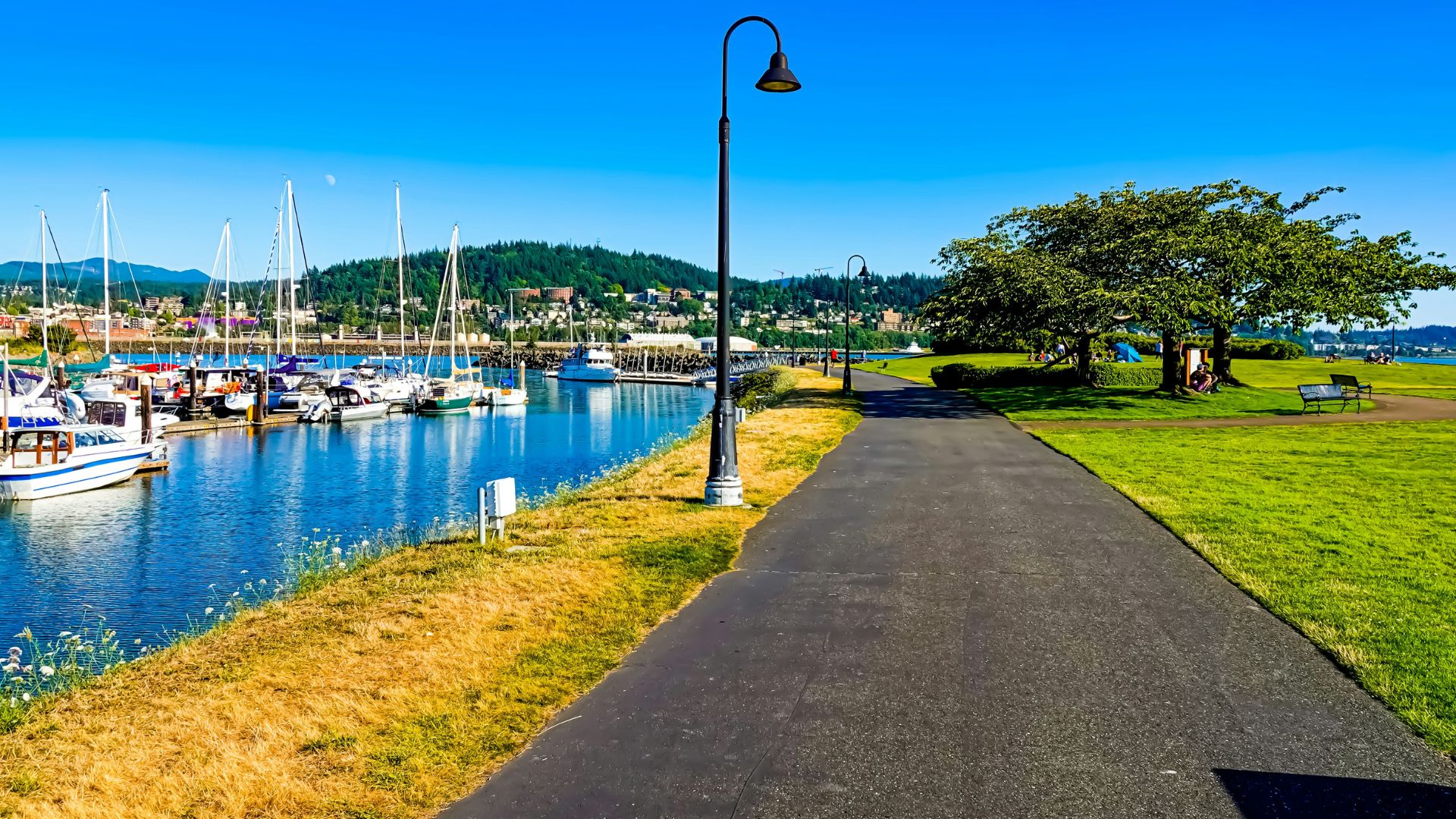 A bright, sunny daytime photo of a paved walking path and a large grassy park area running alongside a marina filled with sailboats and yachts, with a lamp post in the foreground and tree-covered hills in the distance.