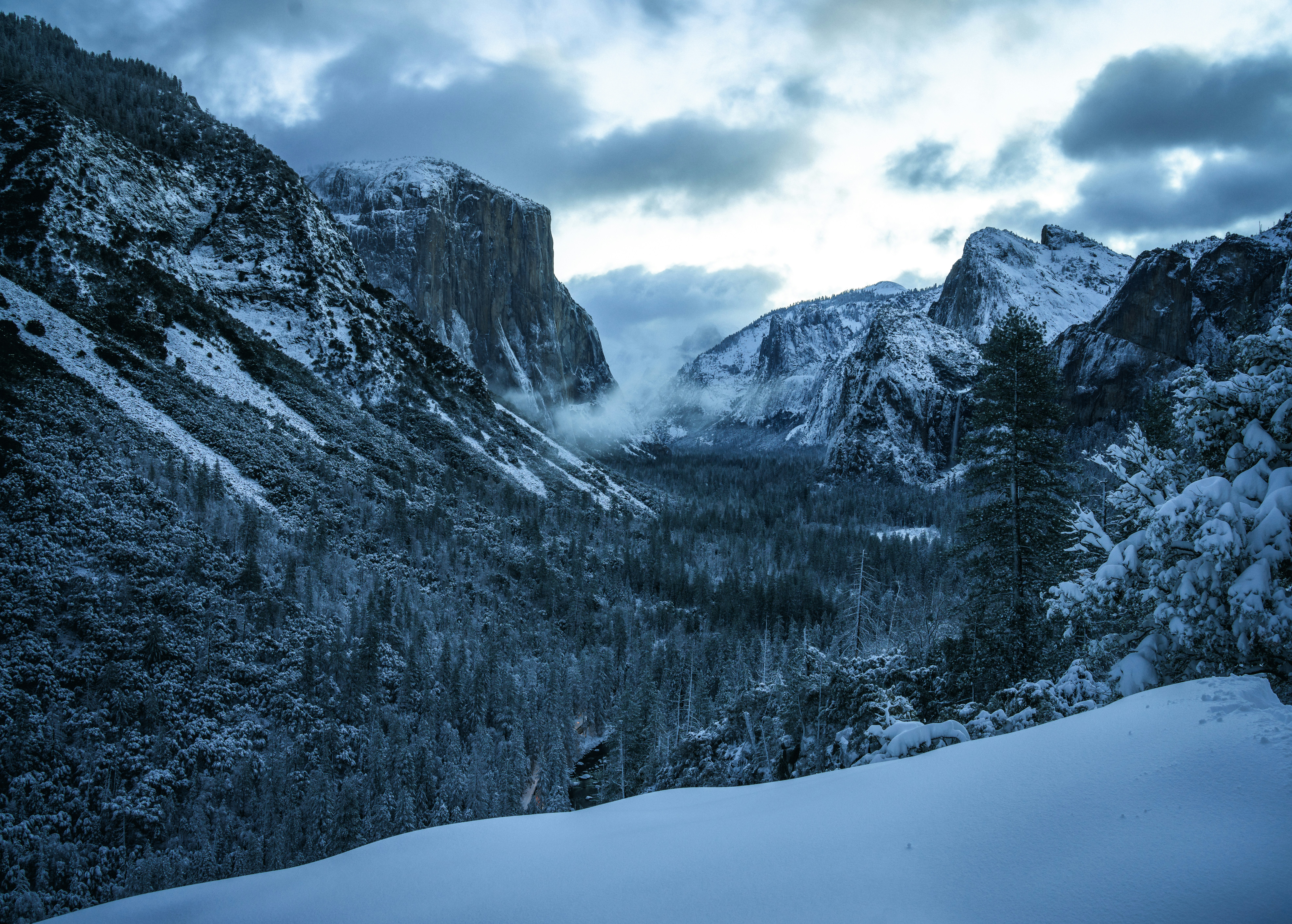 A panoramic view of the snow-covered Yosemite Valley in winter, showing the majestic El Capitan mountain and rugged, dark evergreen forests under a cloudy sky.