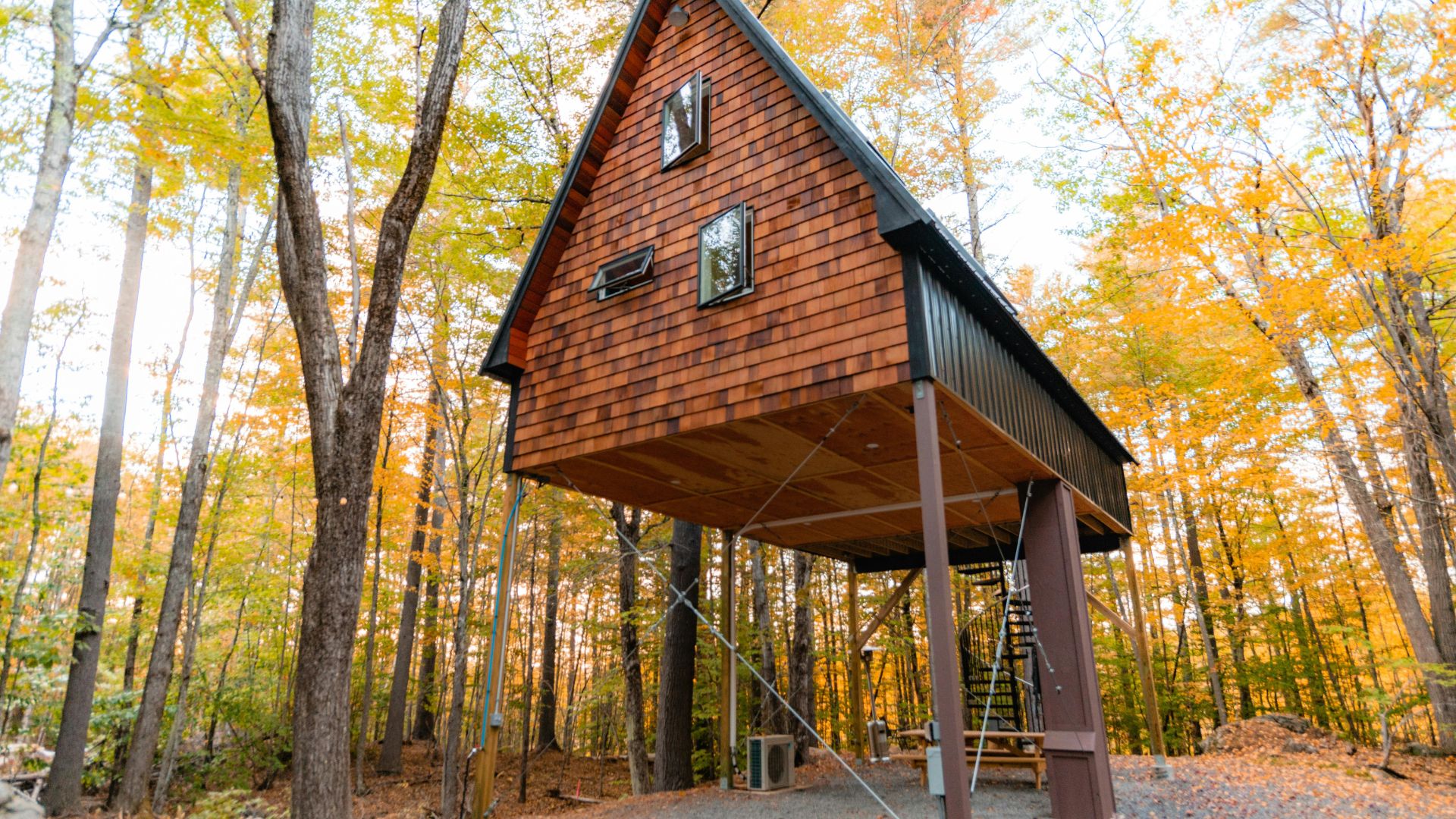 An elevated, modern A-frame cabin named "The Nook," with cedar siding and a black metal roof, standing on stilts among tall trees with vibrant yellow and orange autumn foliage in a forest setting.