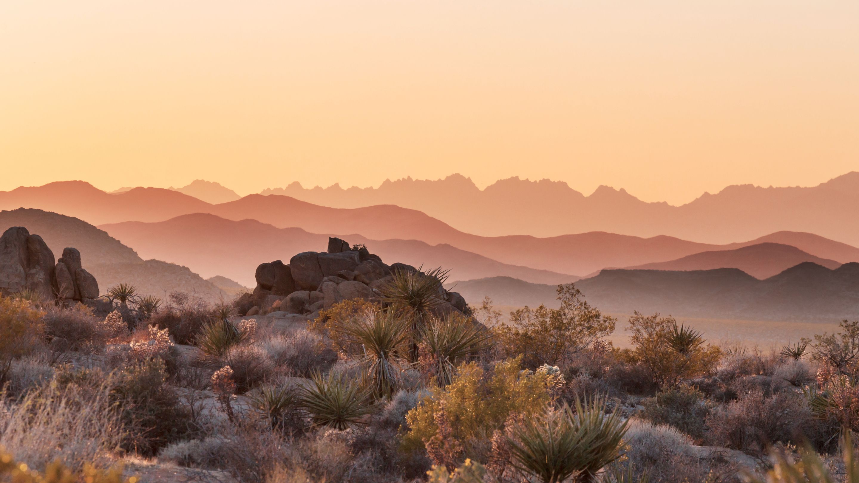 A wide-angle sunset view over a rugged desert landscape with low shrubs and rock formations in the foreground, and hazy, layered mountain silhouettes in the distance under a warm, orange sky.
