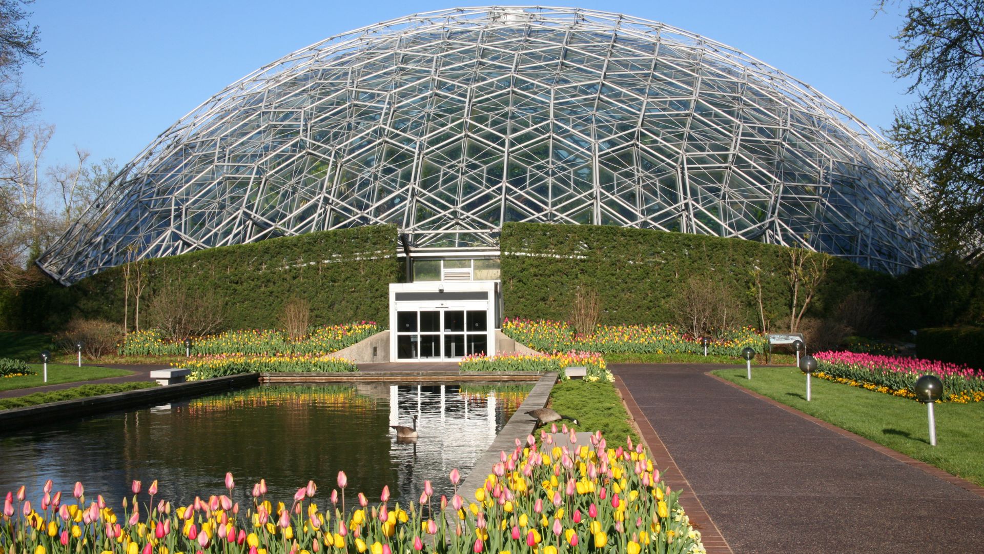 Climatron at the Missouri Botanical Garden, Missouri