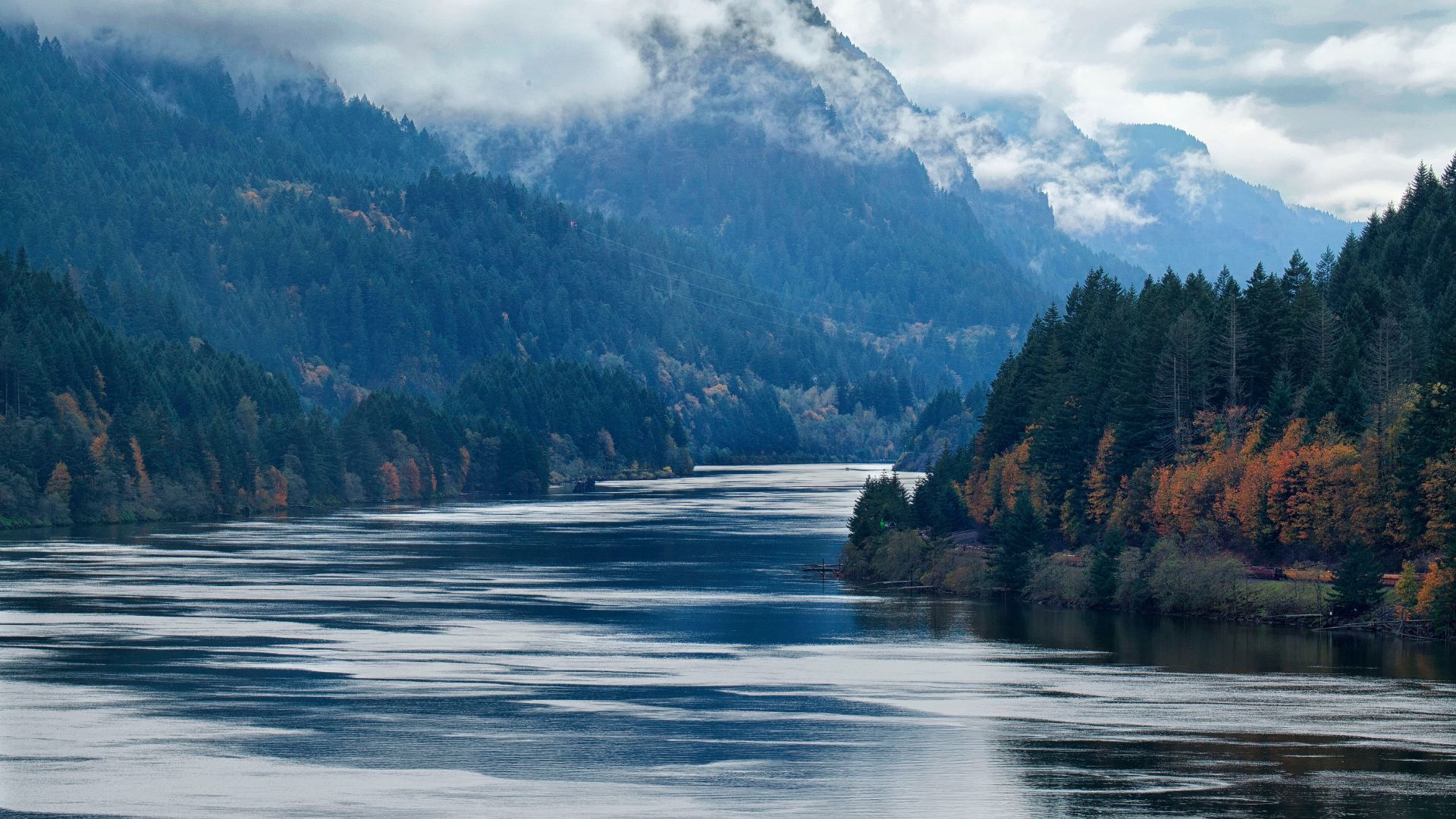 A wide view of the Columbia River flowing between steep, forested mountains featuring evergreen and autumn foliage under a cloudy sky.