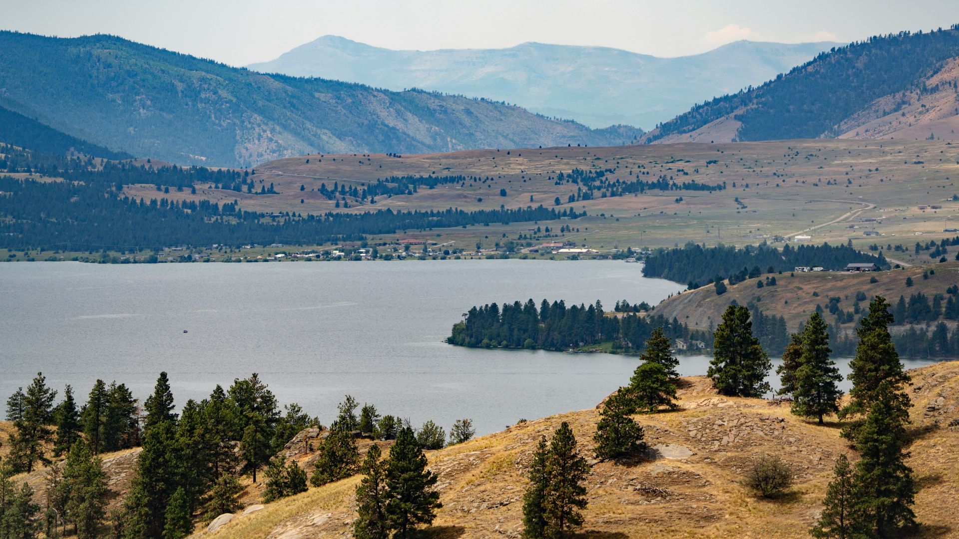 A scenic daytime view of a large, calm lake nestled between mountains and hillsides covered with a mixture of dry golden grass and dense evergreen pine trees, under a bright blue sky.