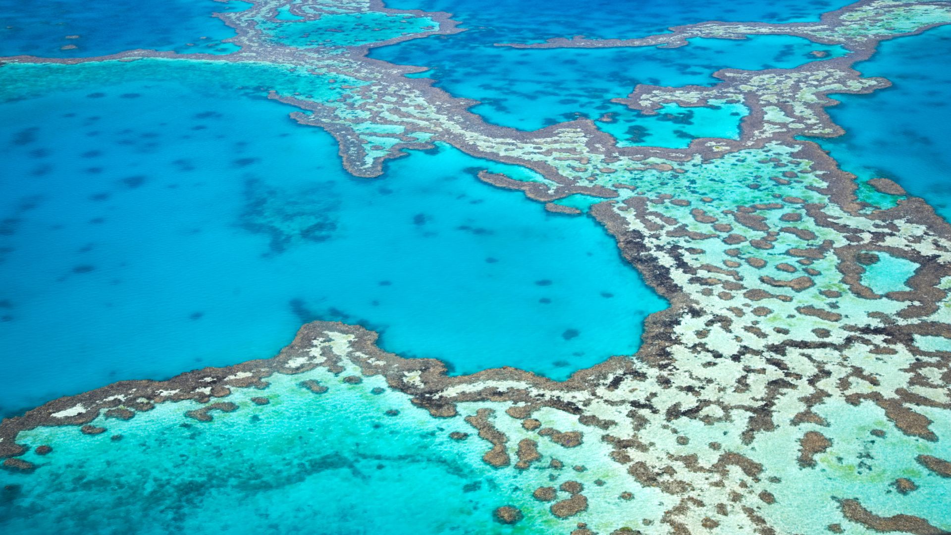 Great Barrier Reef, Australia