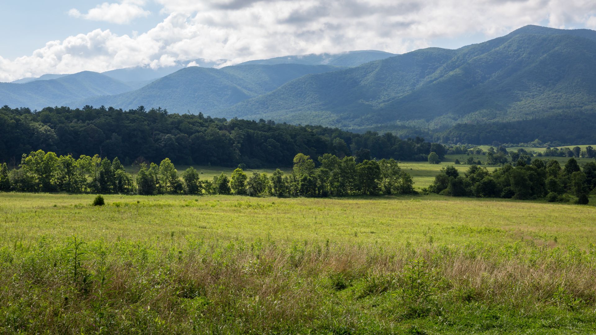 A panoramic photograph of the wide, grassy fields of Cades Cove in the Great Smoky Mountains National Park, with a line of green trees meeting lush, layered mountains under a partly cloudy sky.