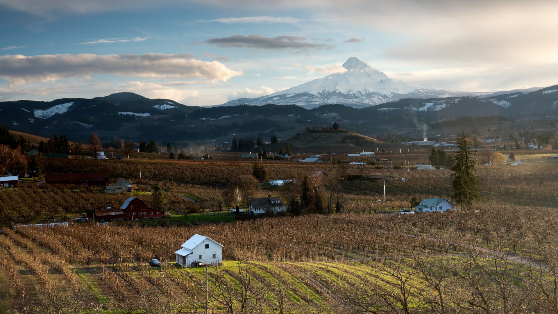 A wide scenic view of a rural, agricultural valley filled with bare fruit tree orchards and farm buildings, leading up to a large, snow-capped mountain peak under a partly cloudy sky at sunset or sunrise.