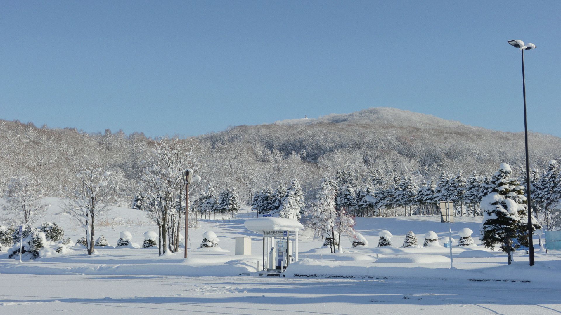A snow-covered landscape with numerous snow-dusted trees, a small covered shelter structure, and a large, snow-capped hill in the background under a clear blue sky.