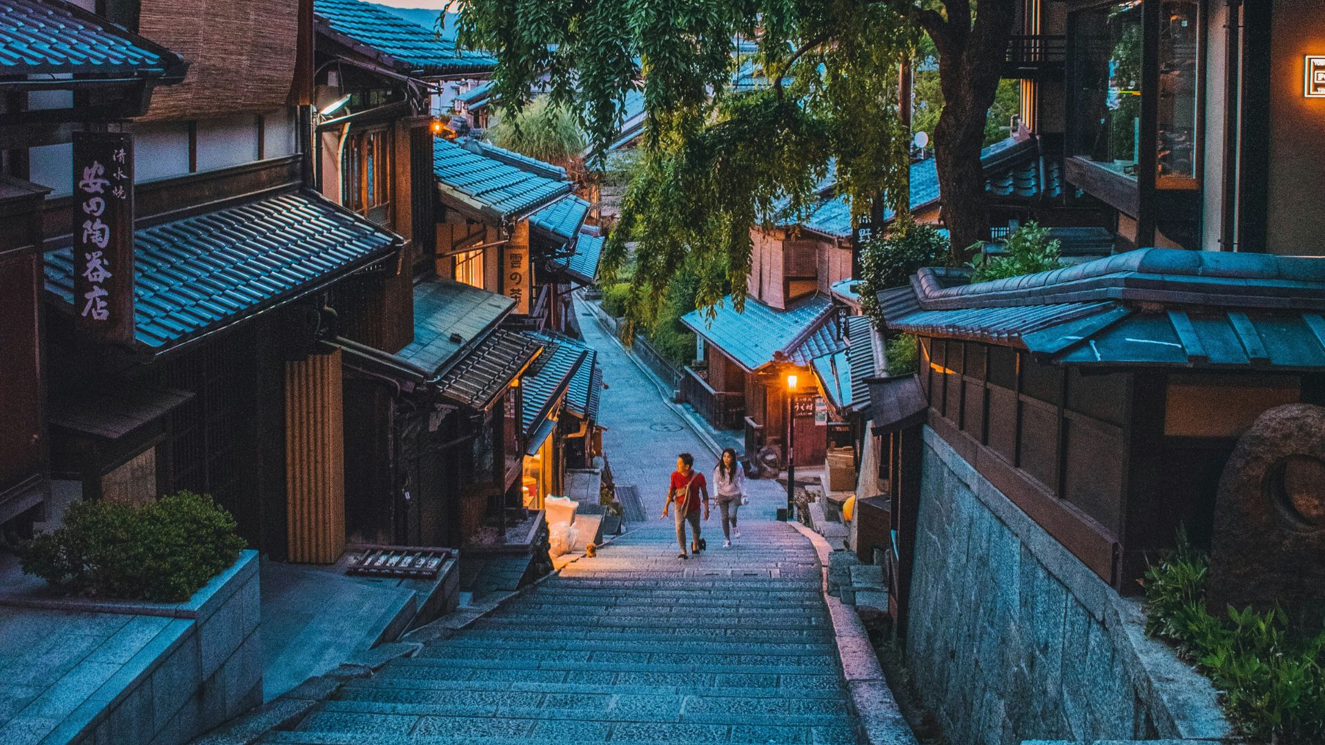 An atmospheric photograph of a narrow, historic, stone-paved street in Kyoto's Higashiyama district, lined with traditional wooden machiya houses and a large weeping cherry tree, illuminated by warm lights at twilight.