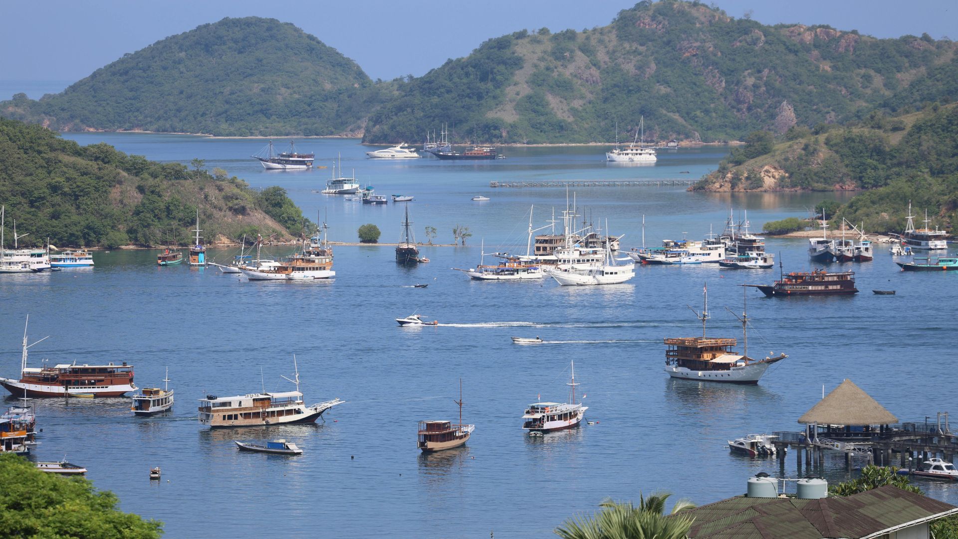 A scenic, wide-angle photograph of a busy Indonesian harbor filled with numerous traditional wooden "phinisi" tourist boats anchored in the calm, blue bay, with lush green hills and islands rising in the background under a bright blue sky.