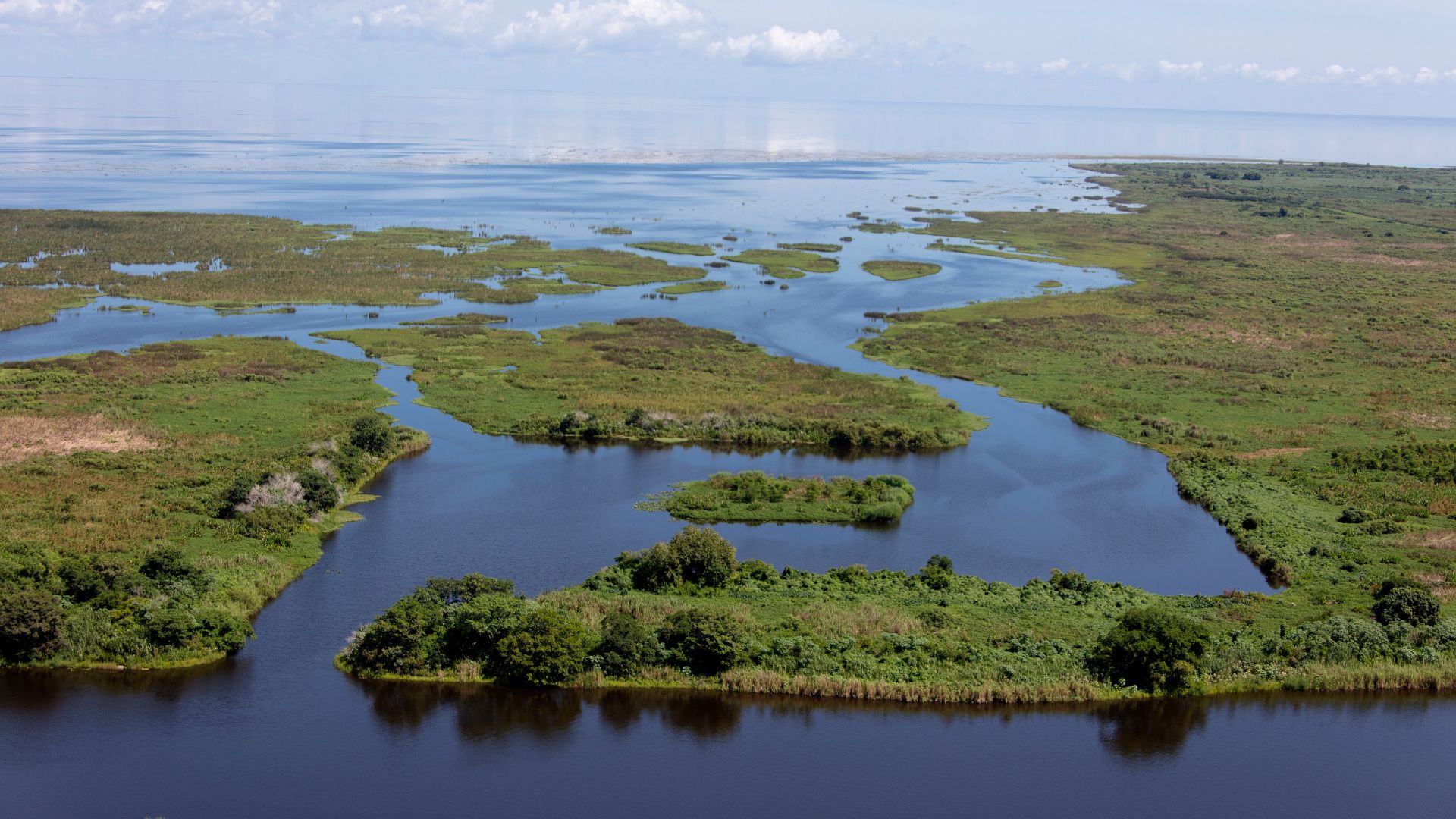 An aerial photograph of a large, open body of deep blue water meeting a vast expanse of green and golden marshland with winding channels and small, tree-covered islands under a bright blue sky.