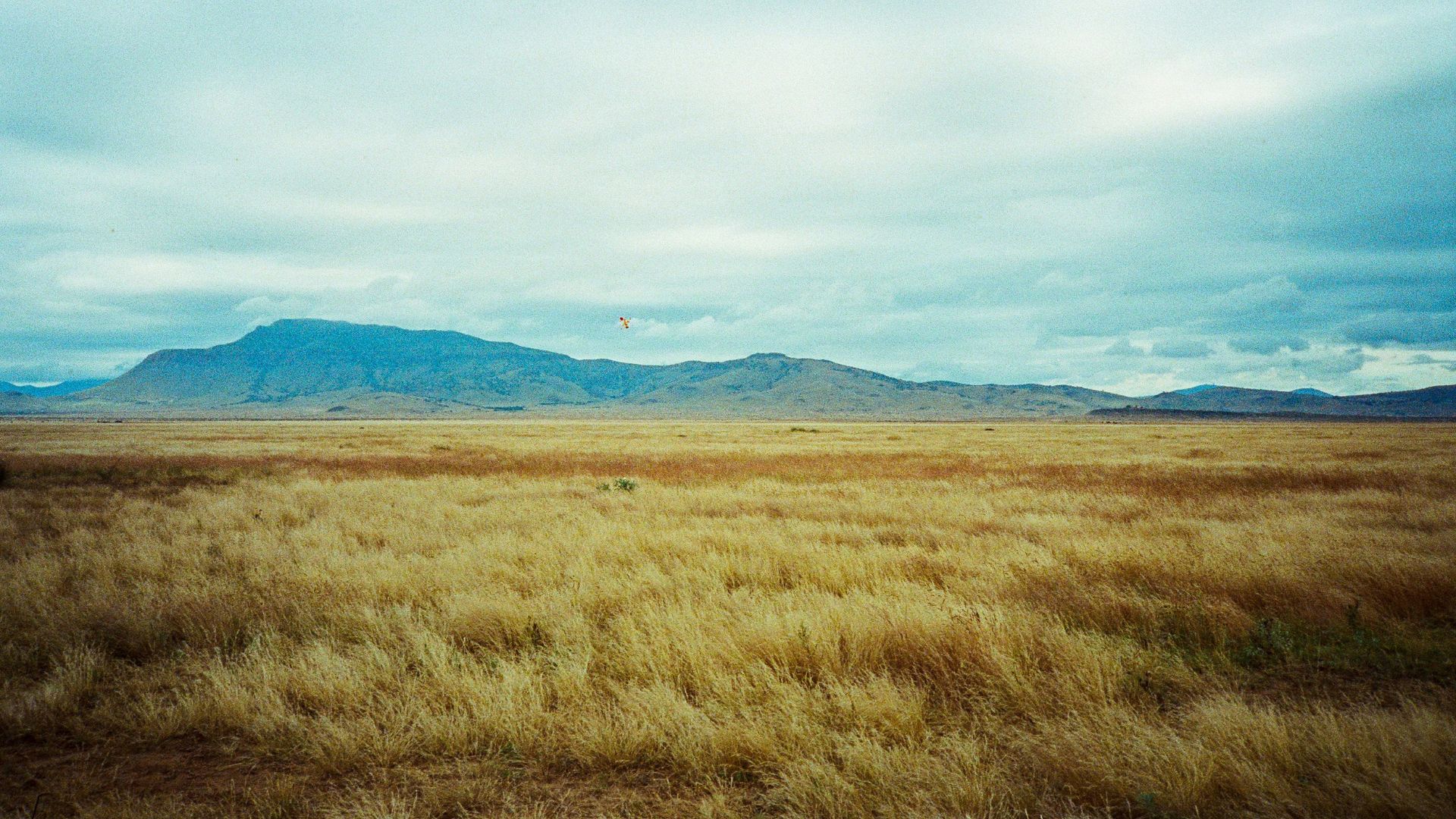 Marfa, Texas