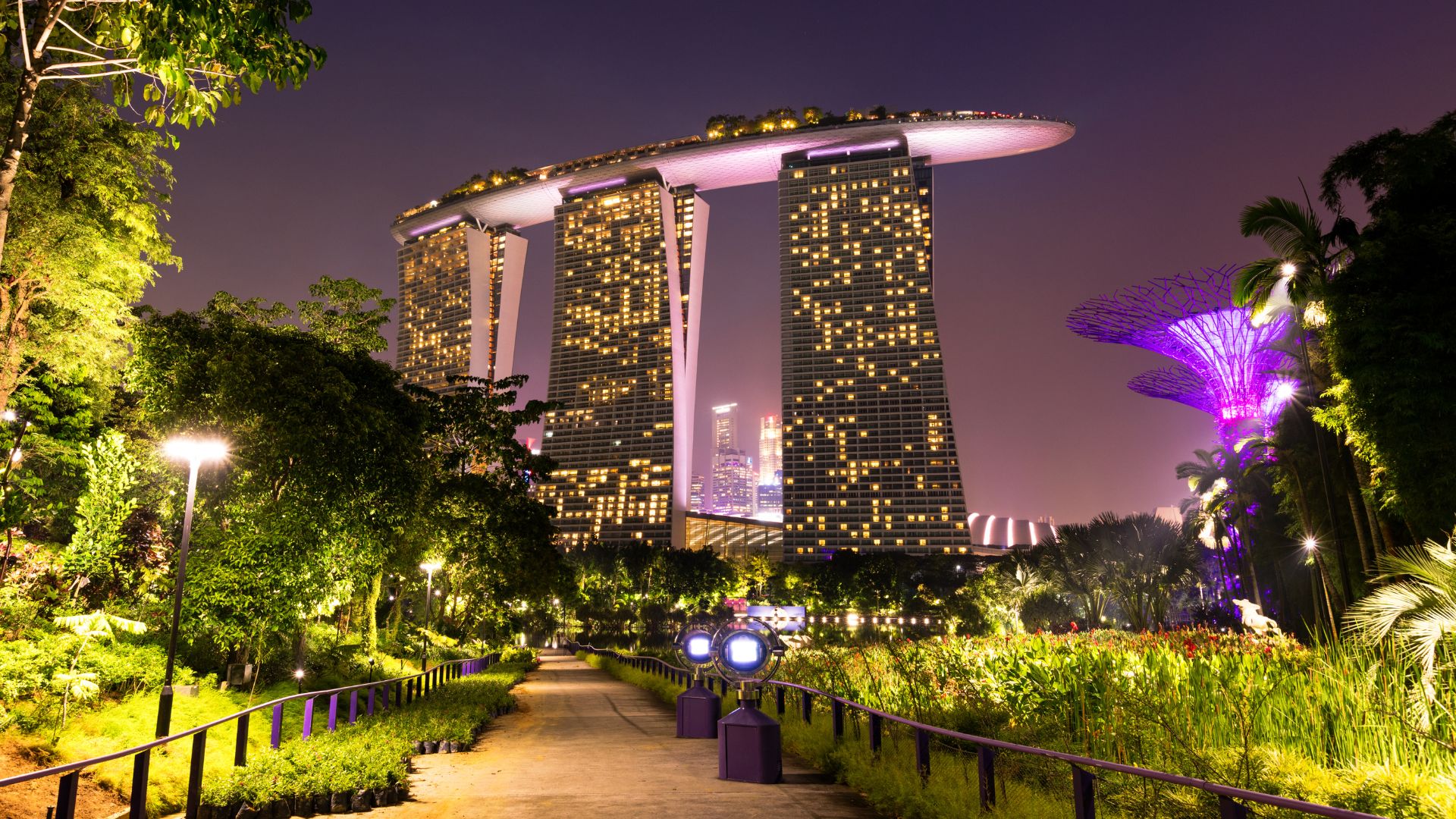 Illuminated night view of the iconic Marina Bay Sands hotel and the purple-lit Supertrees in Gardens by the Bay, Singapore.
