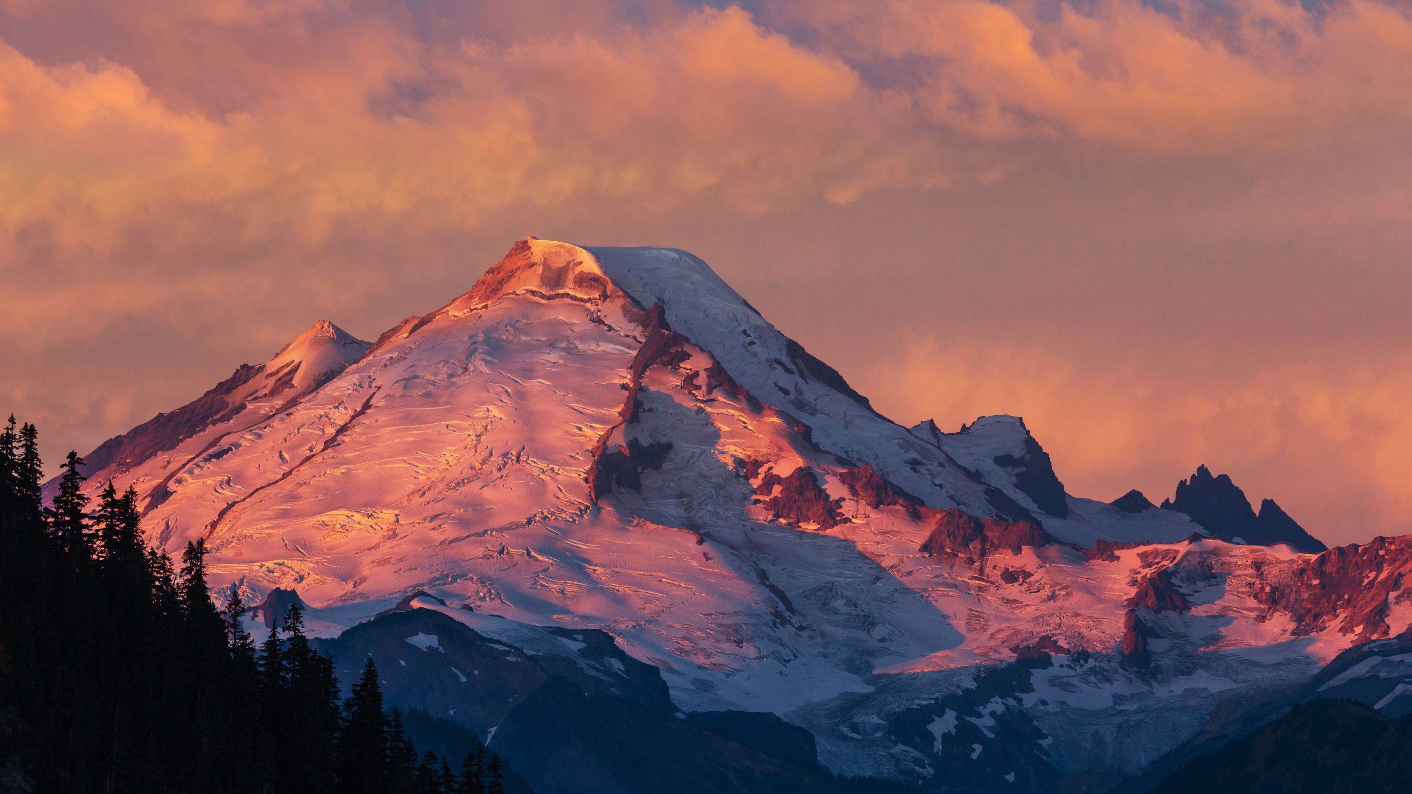 A dramatic view of the rugged, snow-capped Mount Rainier glowing with vibrant pink and orange alpenglow against a cloudy sky, with dark evergreen trees framing the foreground.
