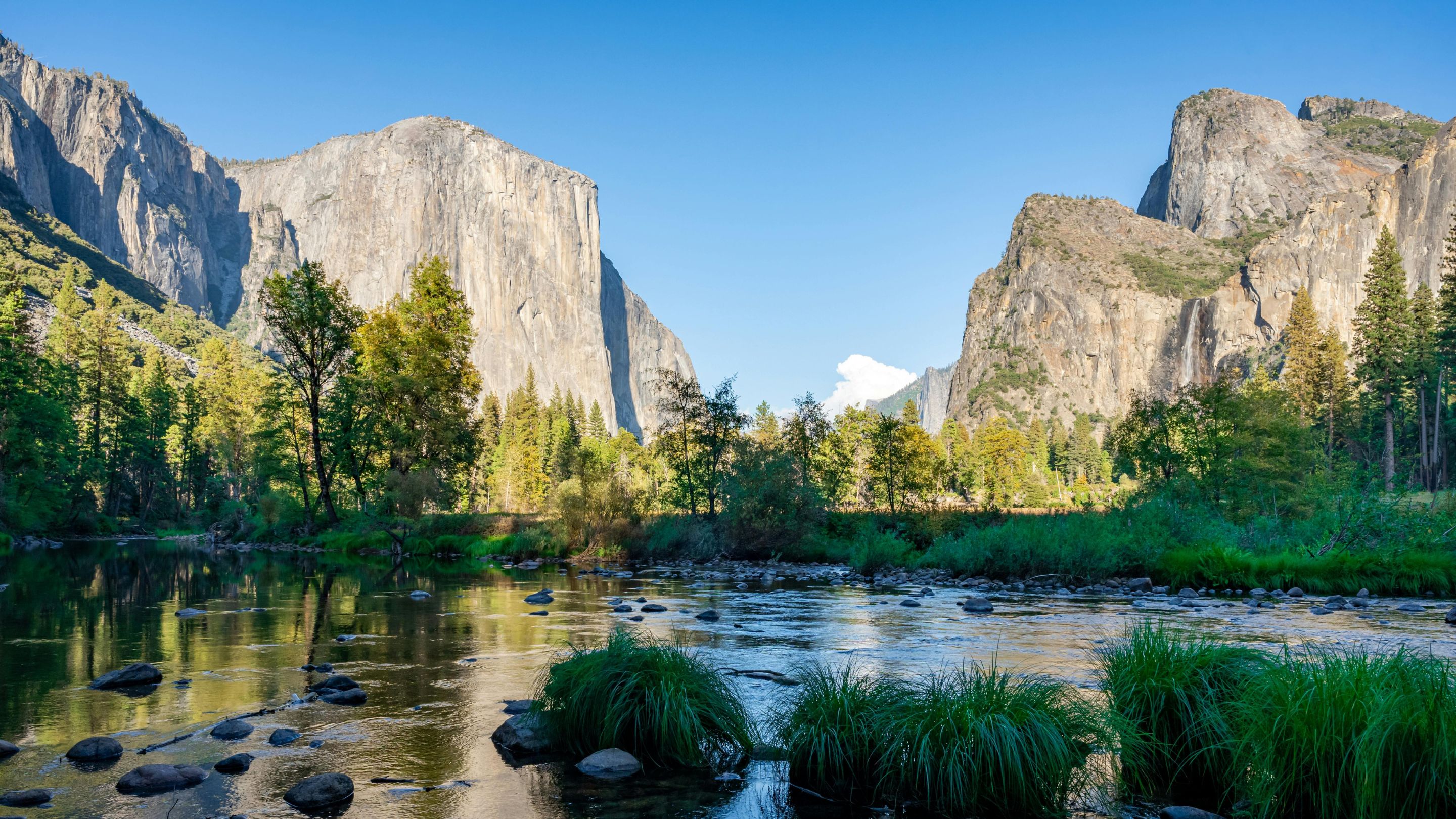 A scenic view of a calm river in the foreground with lush green riverbanks and forest, leading to the towering granite cliffs of El Capitan on the left and Cathedral Rocks on the right in Yosemite National Park, California, under a clear blue sky.