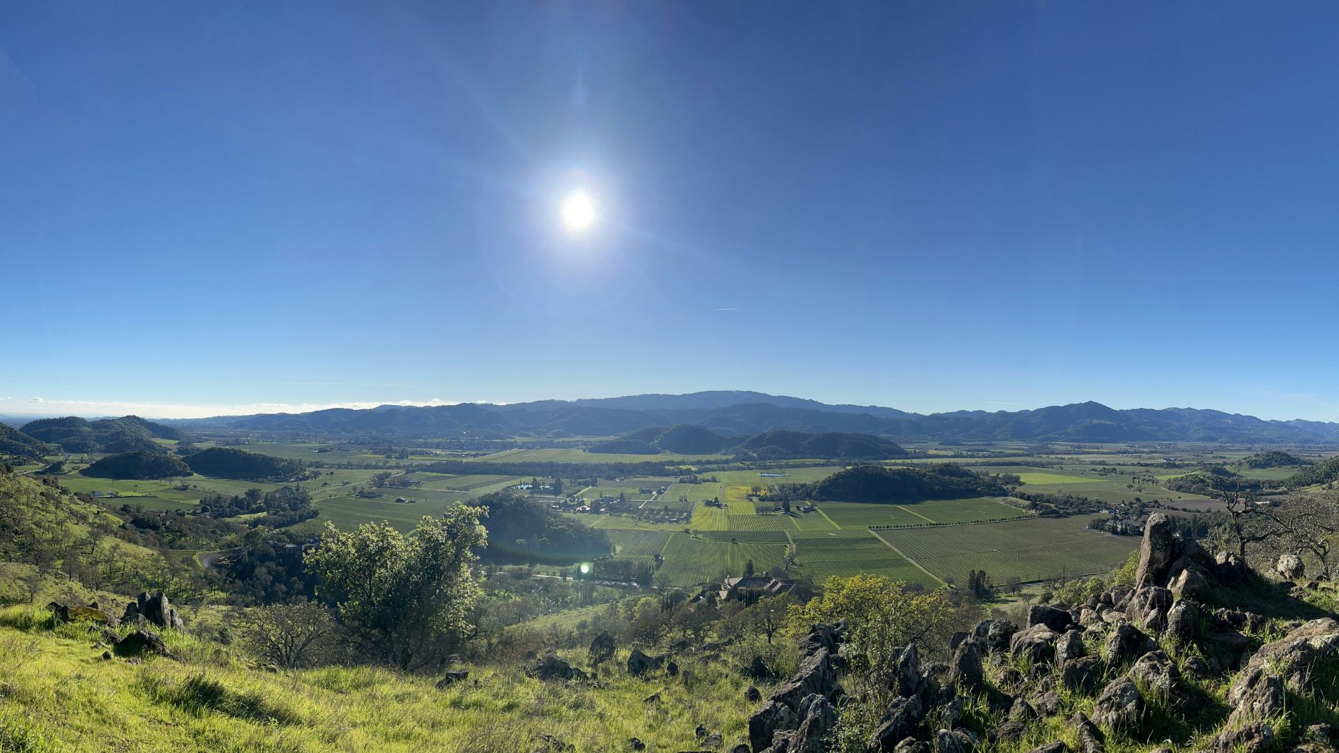 A wide panoramic photograph from a rocky hillside viewpoint overlooking the lush, green vineyards and agricultural fields of the Napa Valley, with distant mountains under a bright, sunny blue sky.