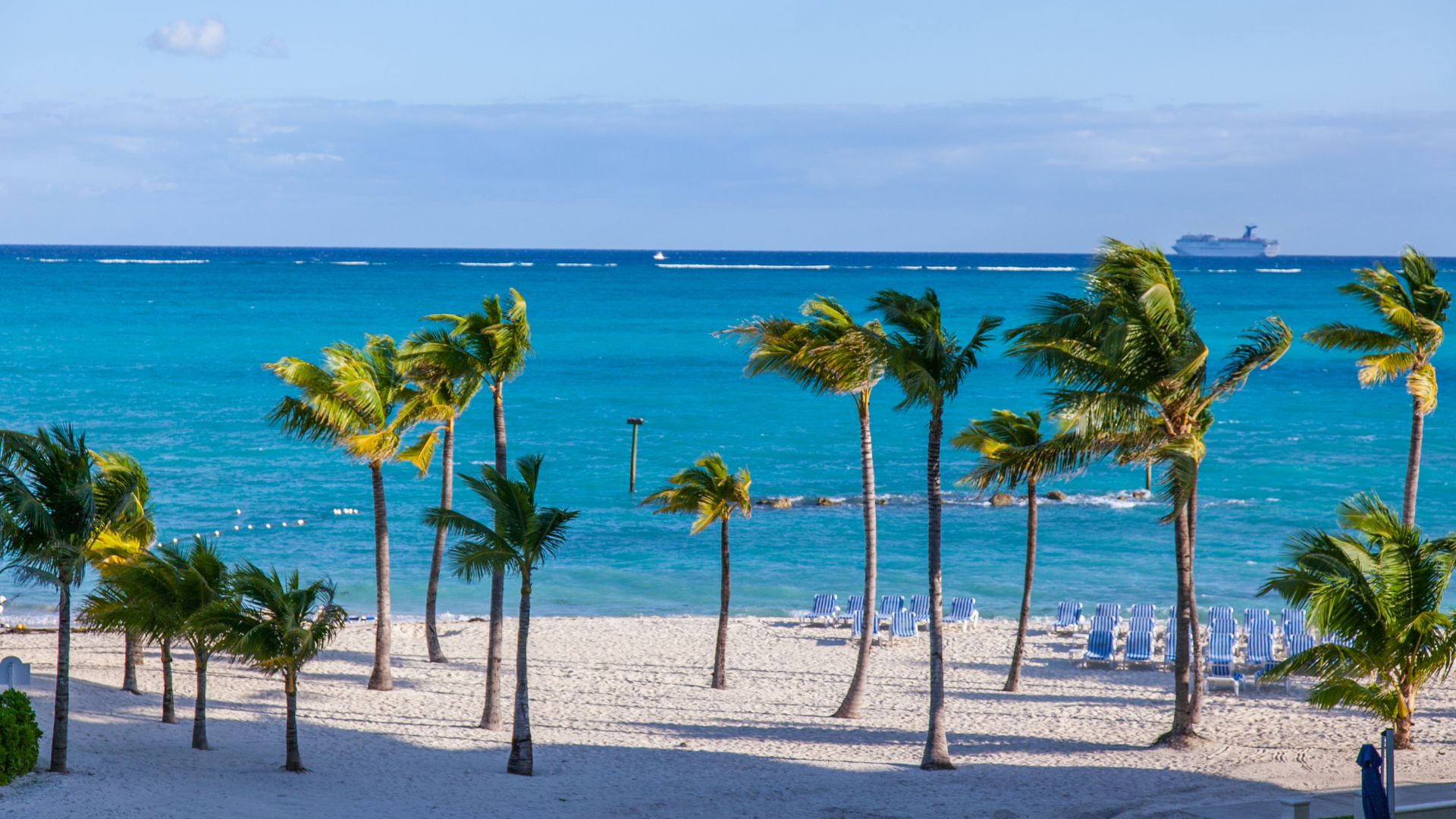 Here is the alternative text describing the image: