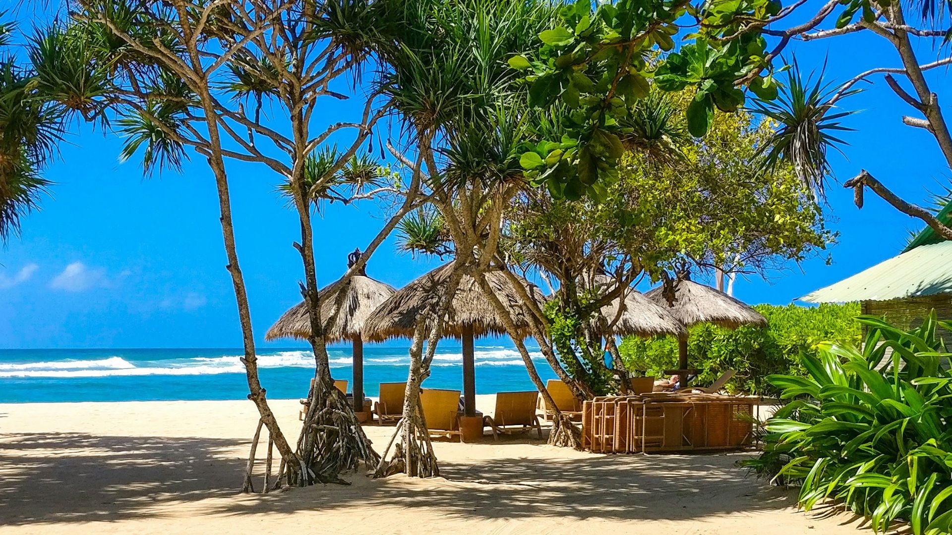 A sandy white beach lined with Pandanus trees and several straw-thatched umbrellas and lounge chairs, overlooking the turquoise ocean under a bright blue sky in Bali, Indonesia.
