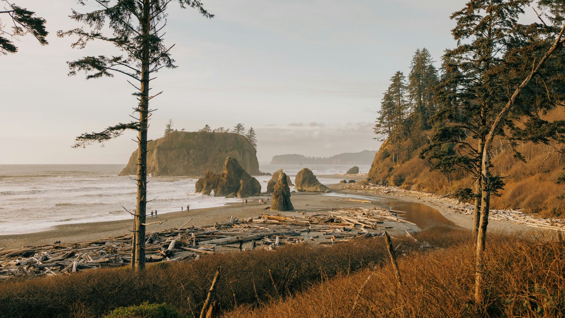 Olympic National Park, in Washington, USA