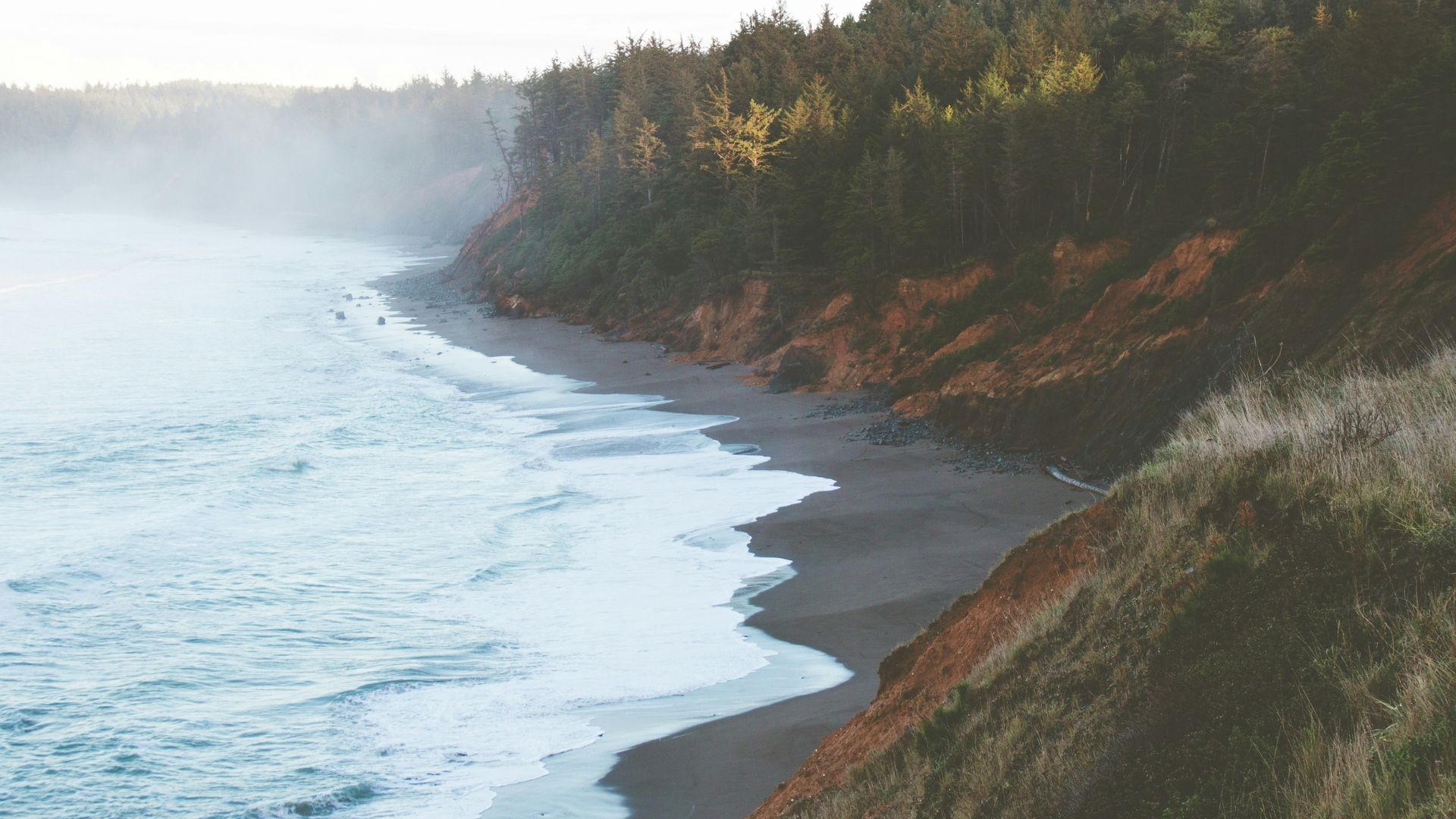A coastal landscape featuring dark sand, white waves crashing onto the shore, steep, rust-colored cliffs covered in greenery, and a dense evergreen forest on the bluffs, with a light fog in the distance.