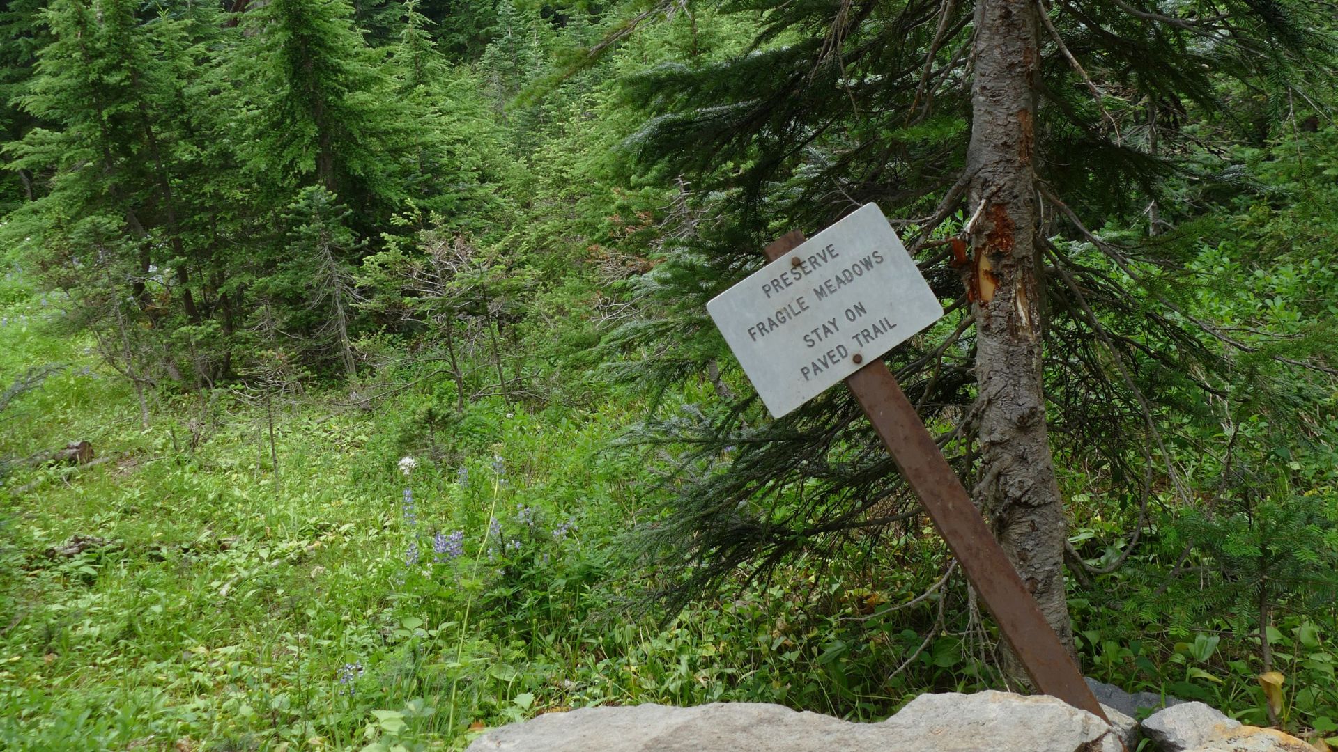 Protecting Fragile Ecosystems Sign