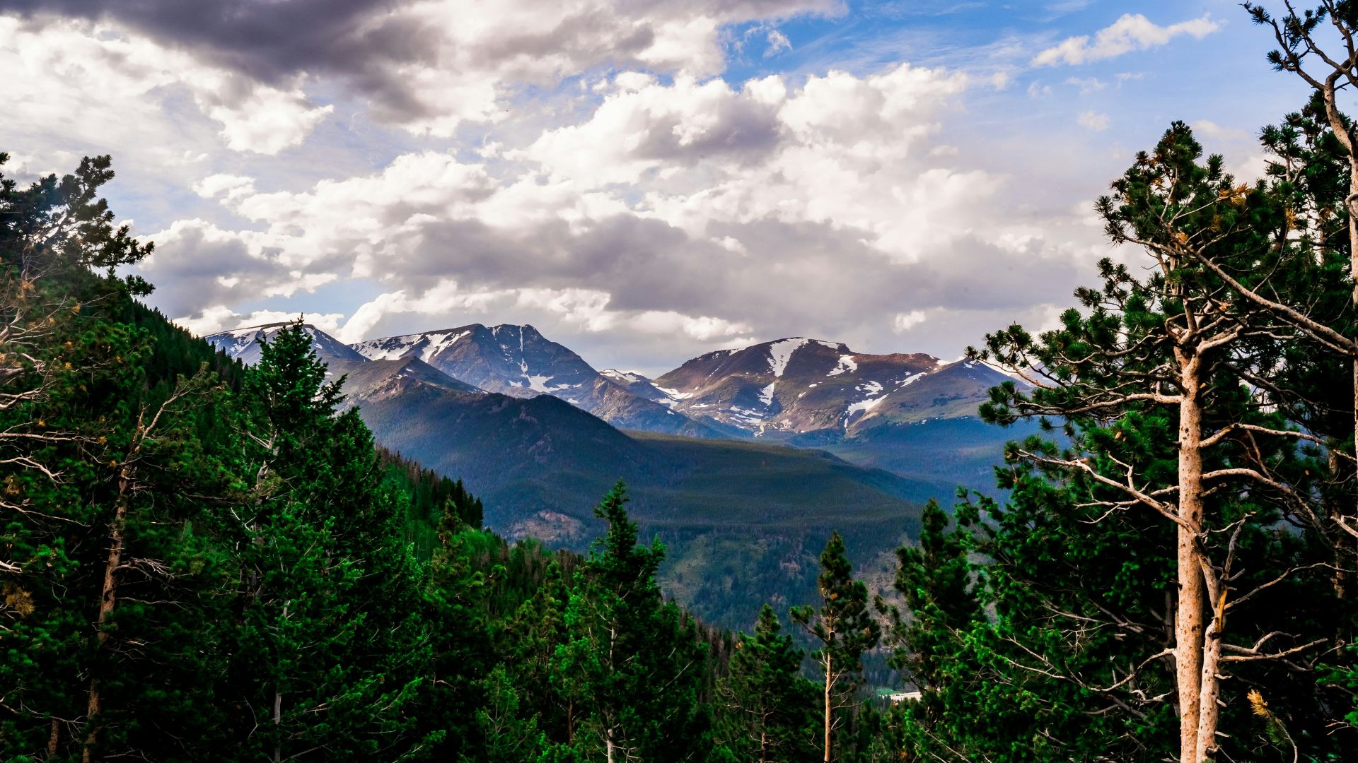 A panoramic photograph of a rugged mountain range in Rocky Mountain National Park, Colorado. The foreground is filled with dense, dark green coniferous pine and spruce trees. In the distance, large mountains rise up, their peaks streaked with patches of white snow, all beneath a dynamic sky filled with both bright blue patches and large, moving gray and white clouds.