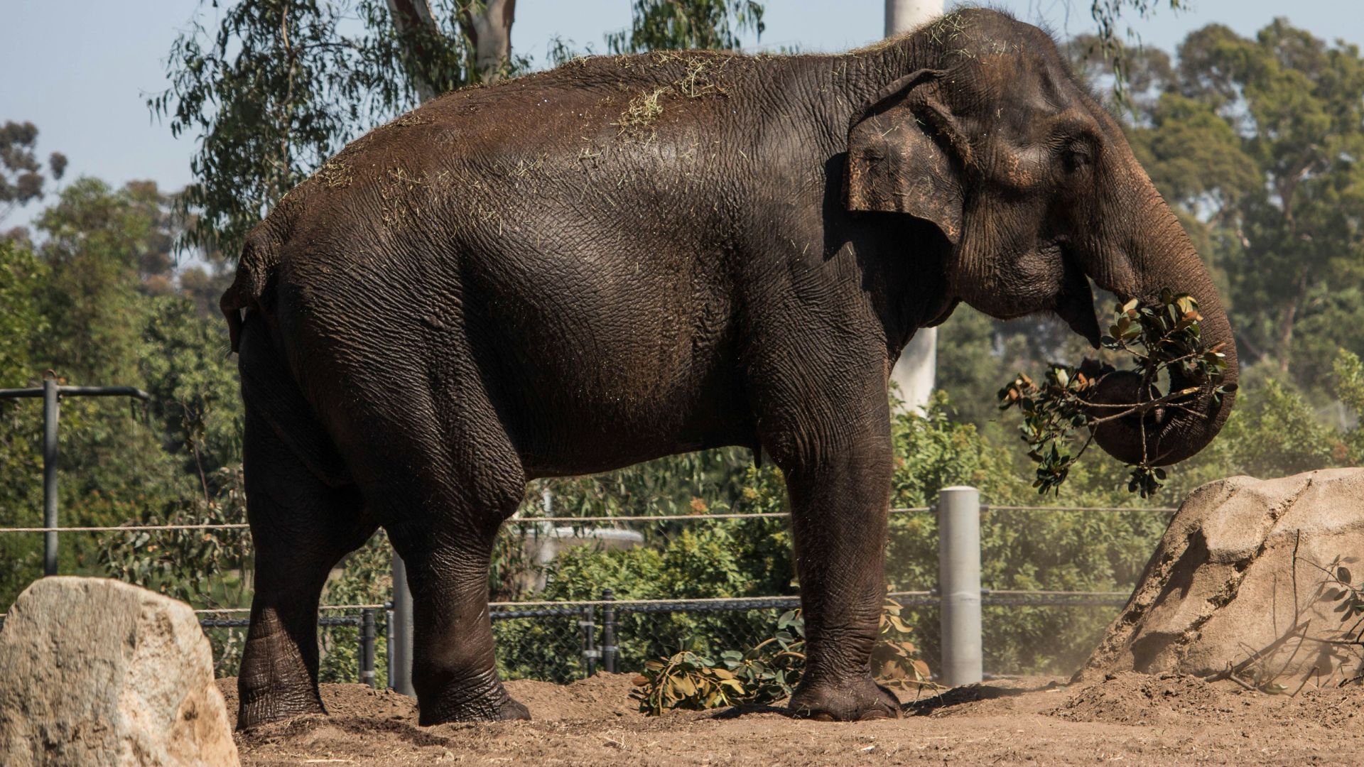 San Diego Zoo, California