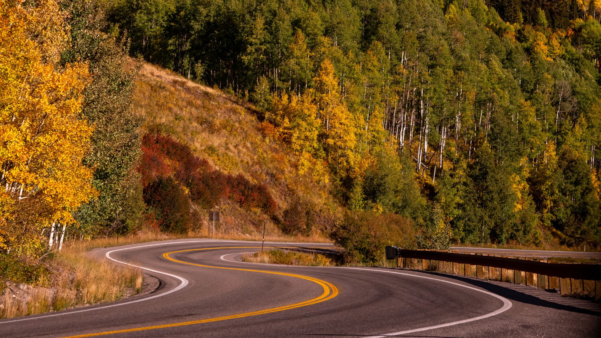 A winding asphalt mountain road curves through a steep hillside covered in dense forest, showcasing vibrant yellow, orange, and green autumn foliage.