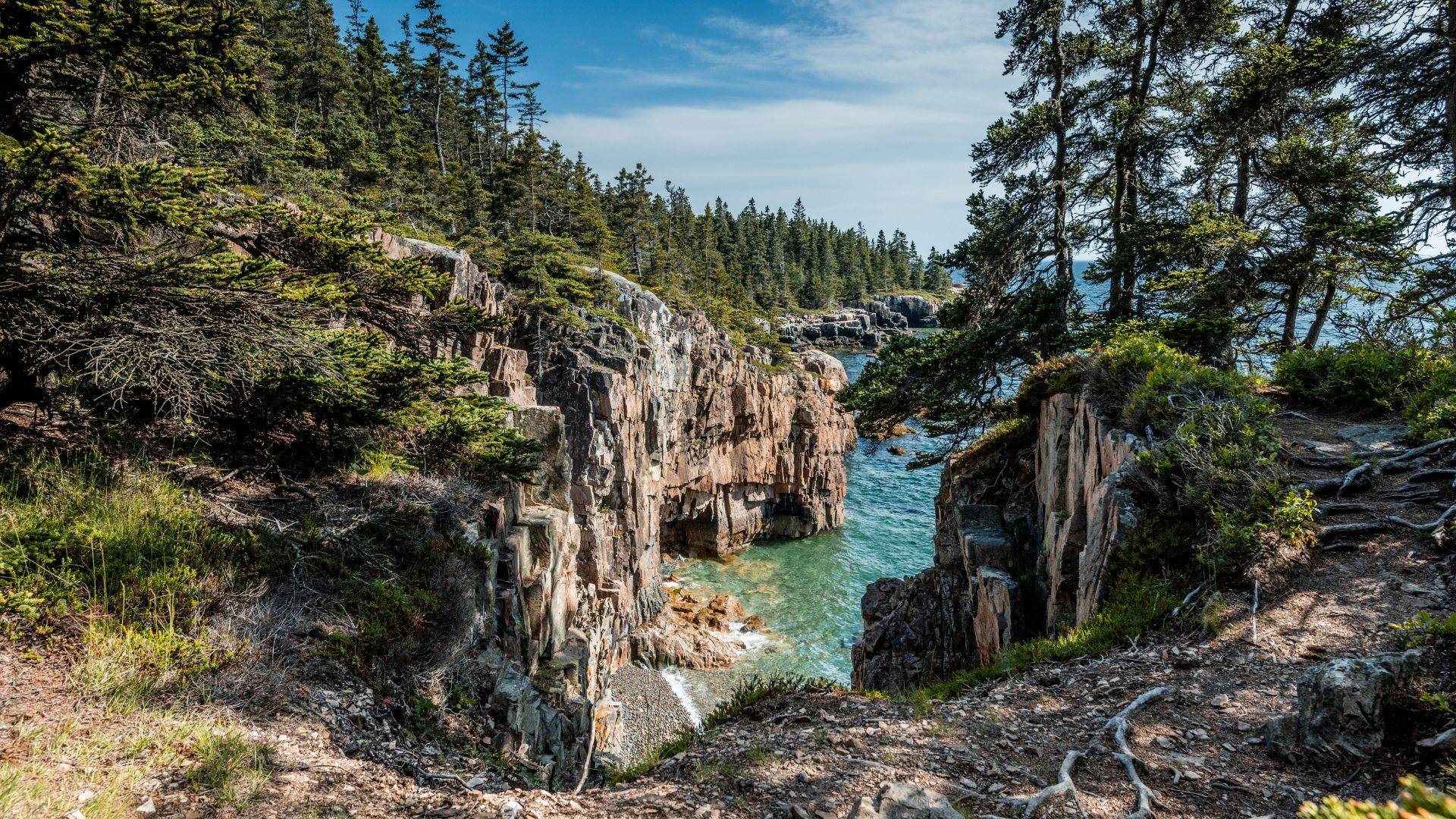 Schoodic Peninsula of Acadia National Park in Maine, USA