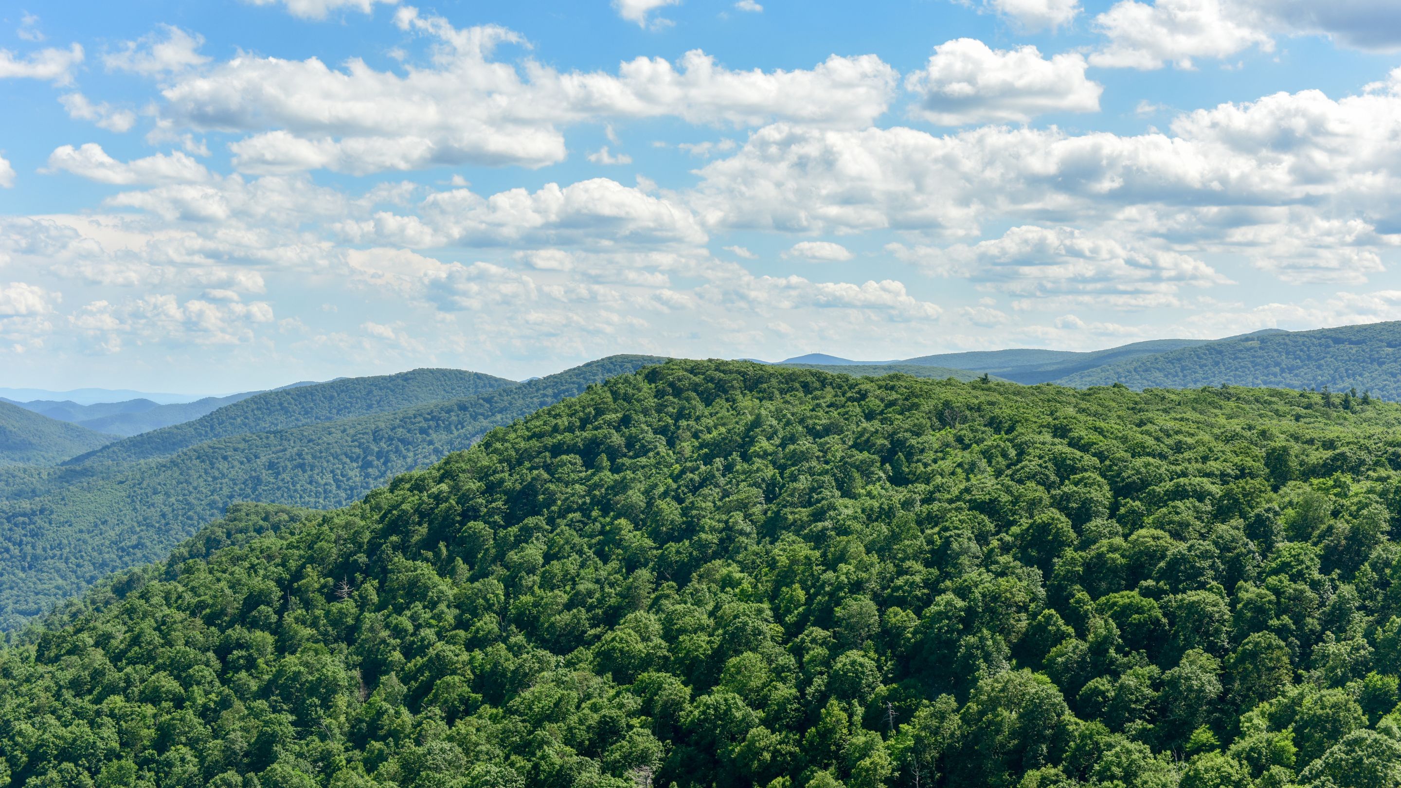 A panoramic view of vast, rolling mountains entirely covered in a dense, lush green forest, under a bright blue sky filled with large white cumulus clouds.