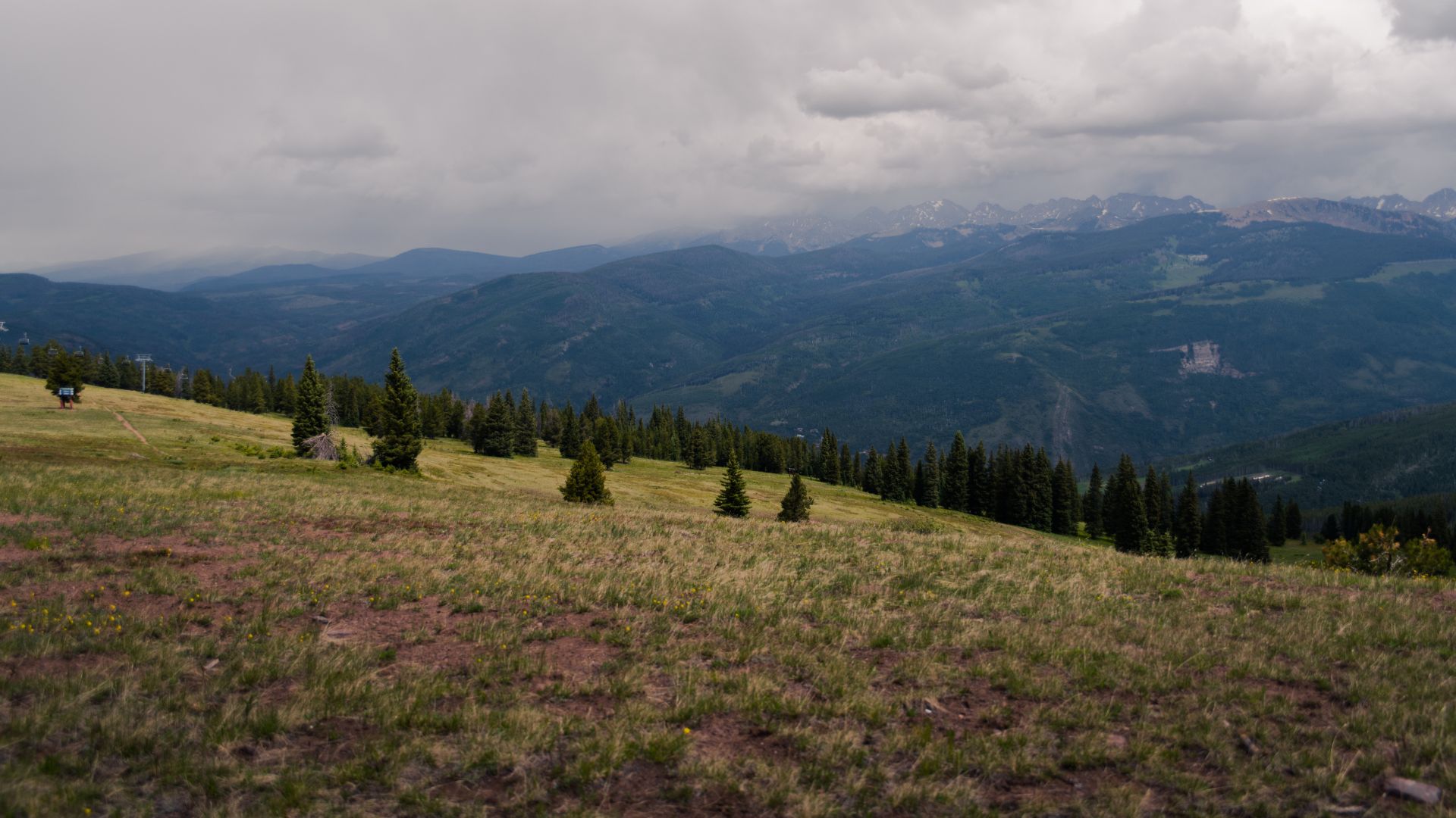 A sweeping view of a mountain landscape under a dramatic, cloudy sky. In the foreground, a grassy hillside dotted with scattered evergreen trees slopes down towards a dense forest that fills a valley. Distant blue mountain ranges are visible on the horizon, partially obscured by low-hanging clouds.