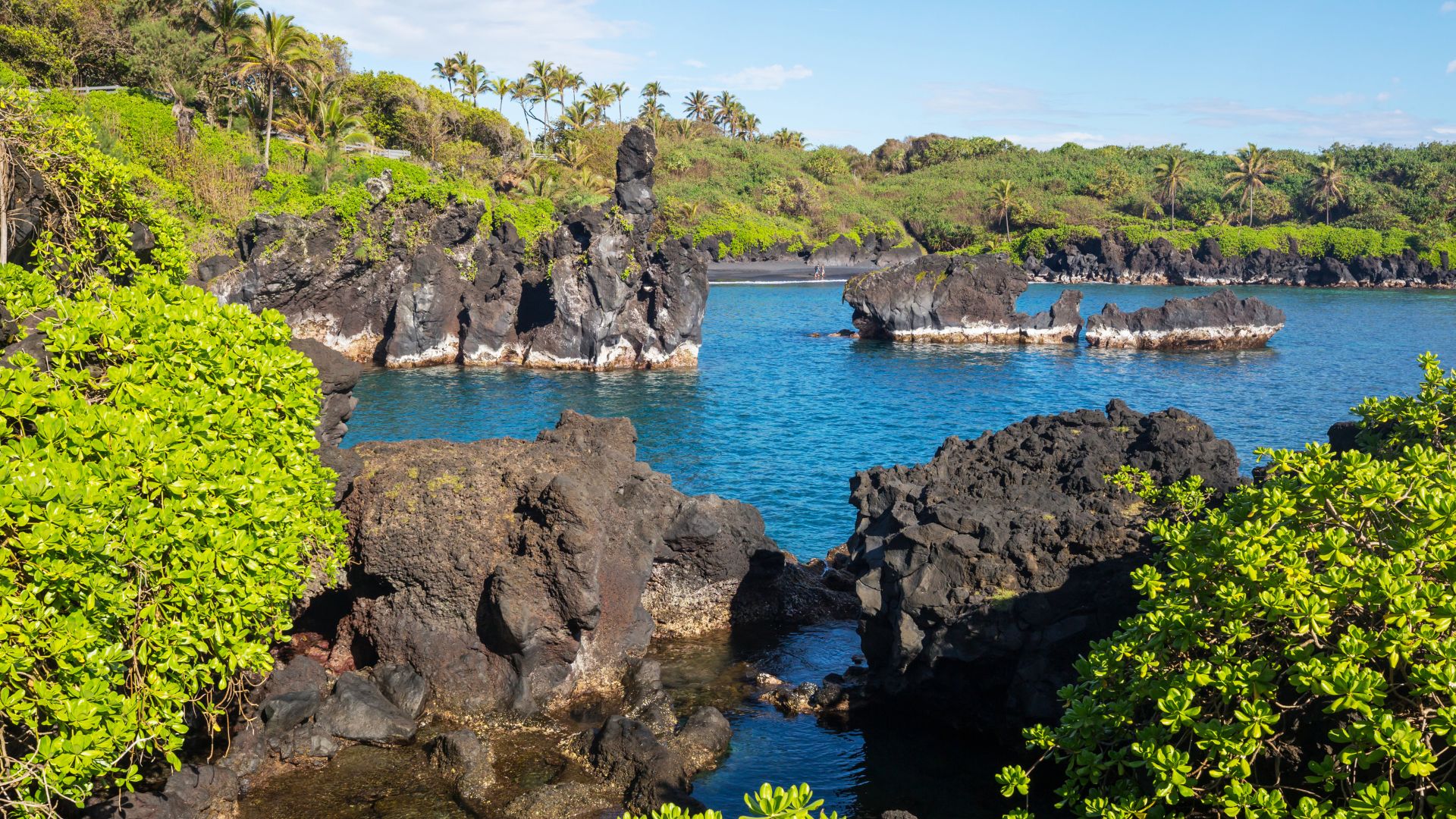 A scenic view of the rugged, volcanic coastline at Waiʻānapanapa State Park in Maui, Hawaii, showing dramatic black lava rock formations and sea stacks surrounded by lush green foliage and turquoise ocean water.
